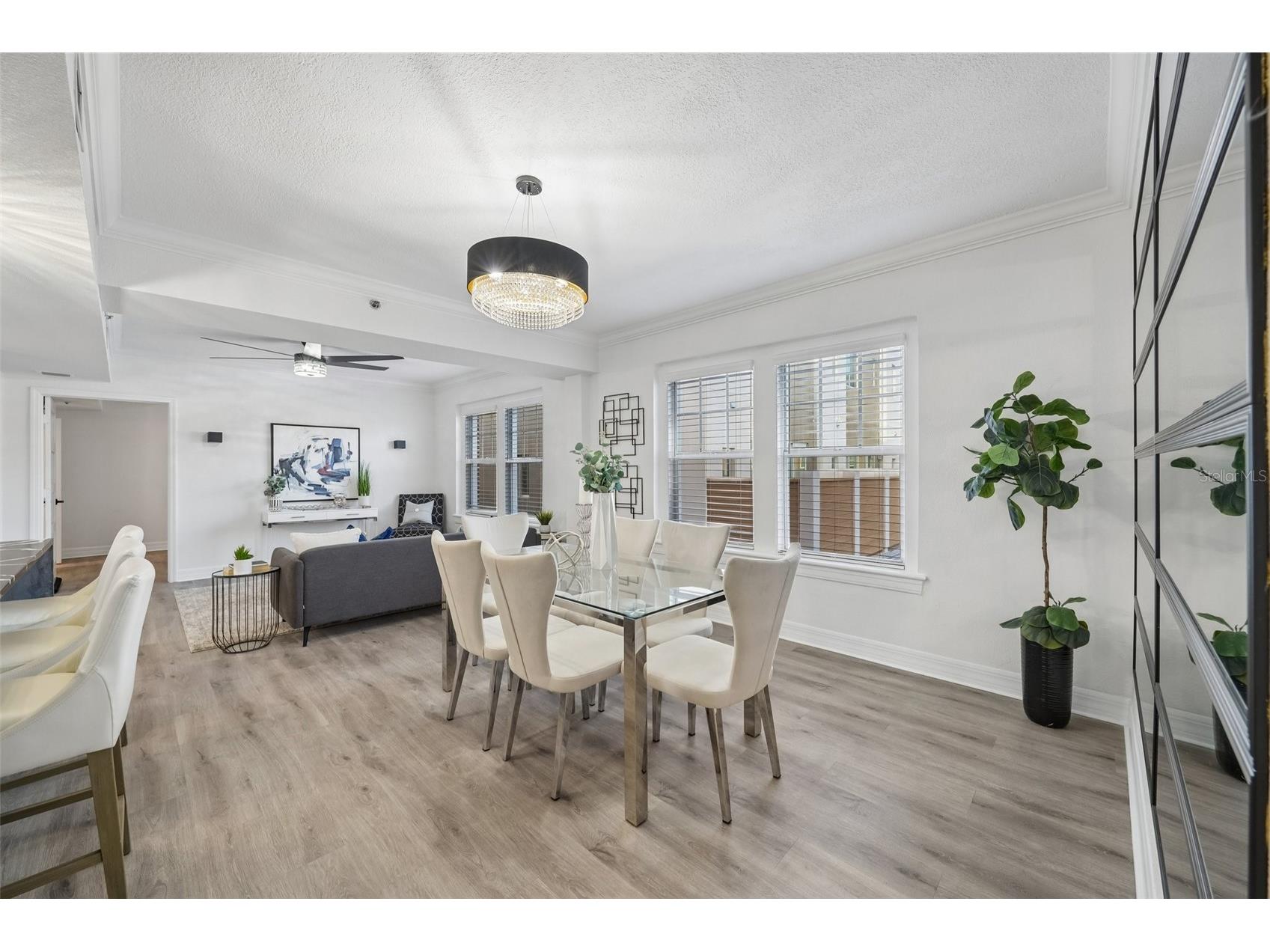 219 4th Avenue N #201 Saint Petersburg FL 33701 TB8508722 image13