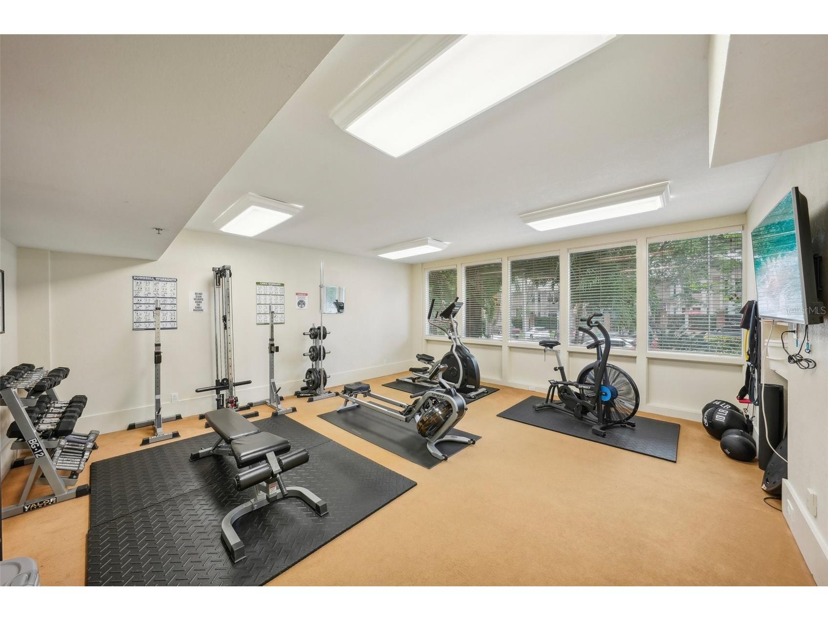 219 4th Avenue N #201 Saint Petersburg FL 33701 TB8508722 image20