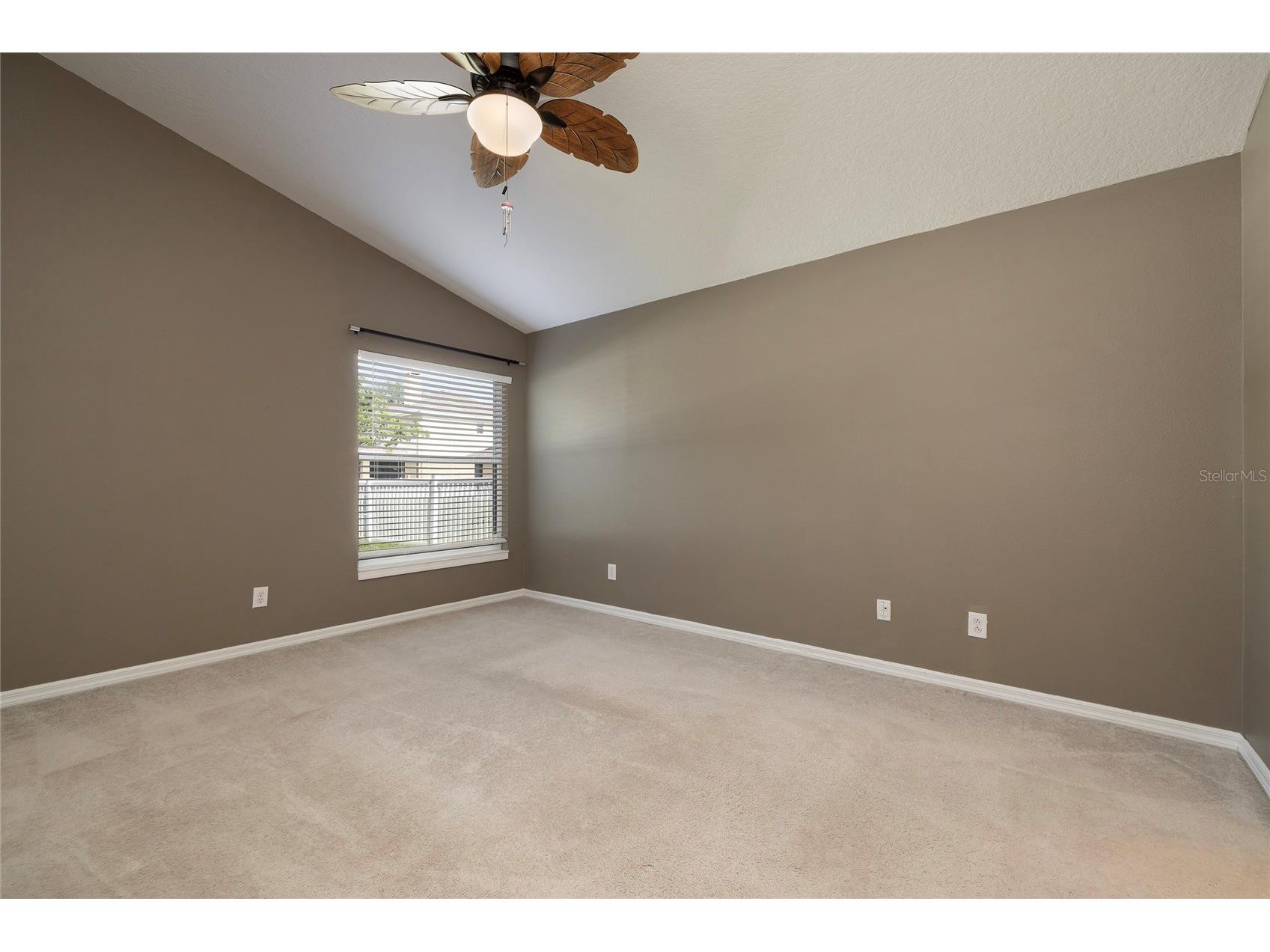 219 Bay Arbor Boulevard Oldsmar FL 34677 TB8498550 image15