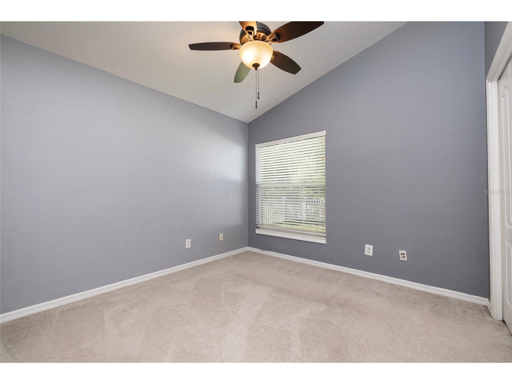 219 Bay Arbor Boulevard Oldsmar FL 34677 TB8498550 image22