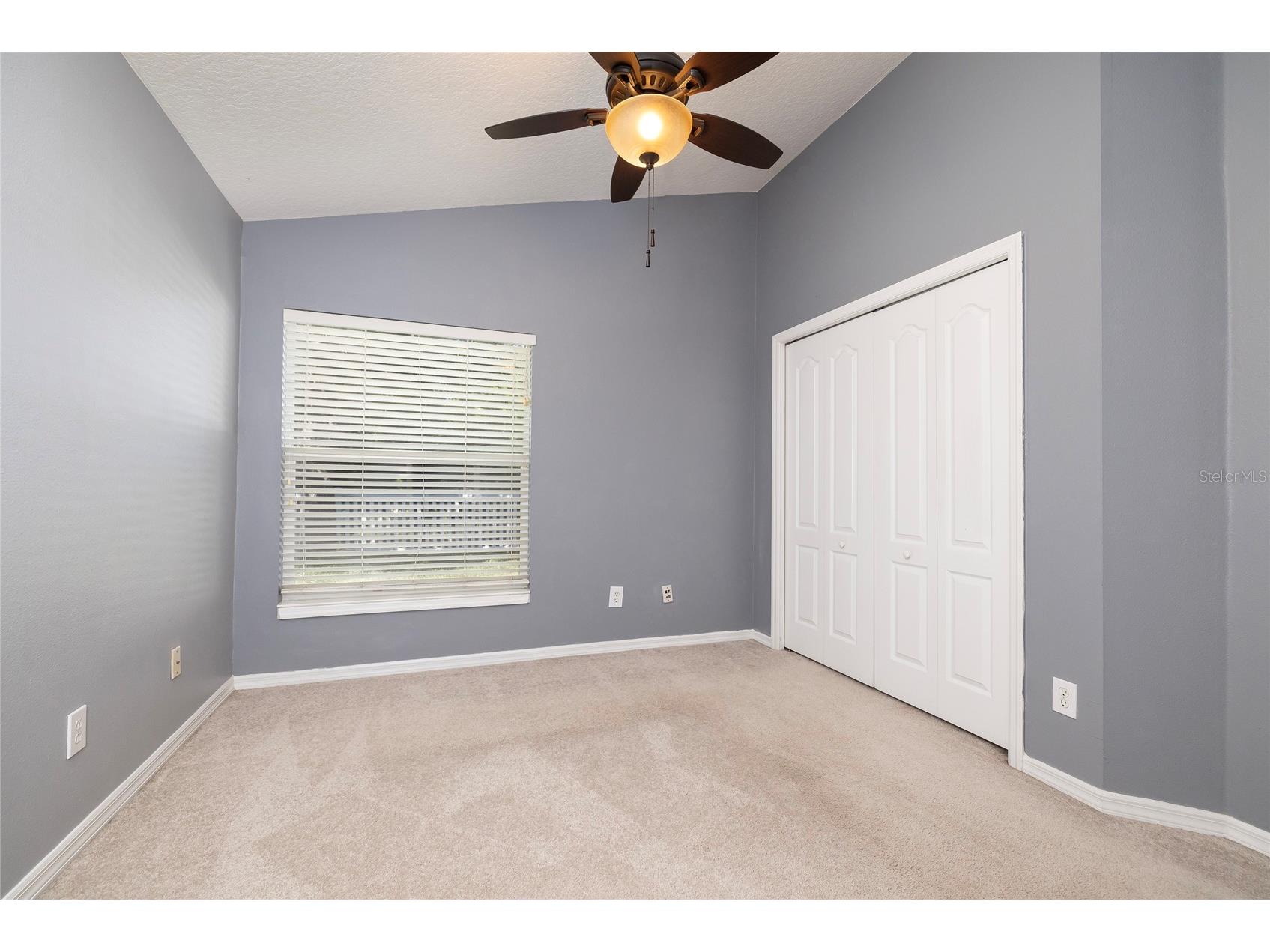 219 Bay Arbor Boulevard Oldsmar FL 34677 TB8498550 image23