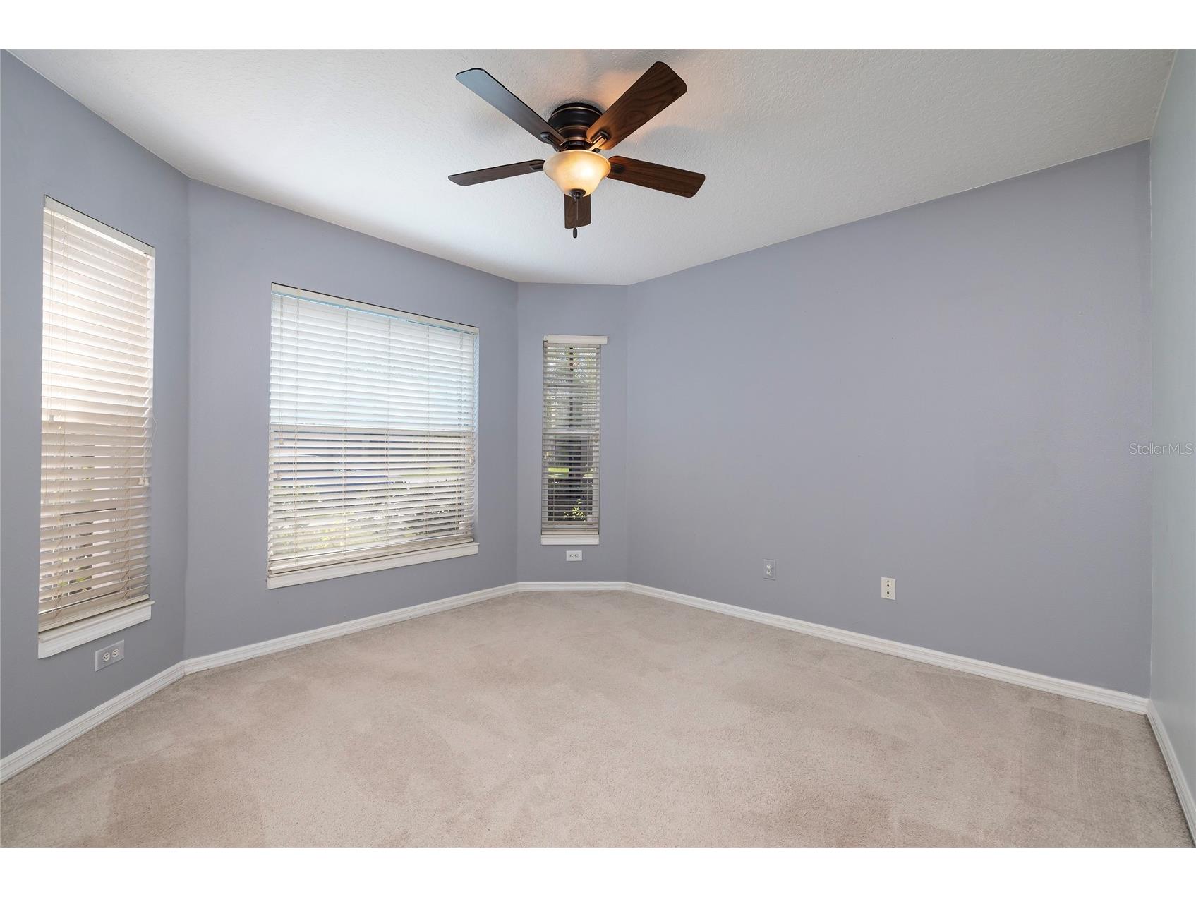 219 Bay Arbor Boulevard Oldsmar FL 34677 TB8498550 image28