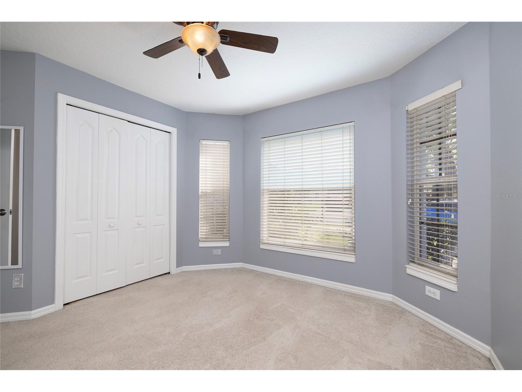 219 Bay Arbor Boulevard Oldsmar FL 34677 TB8498550 image29