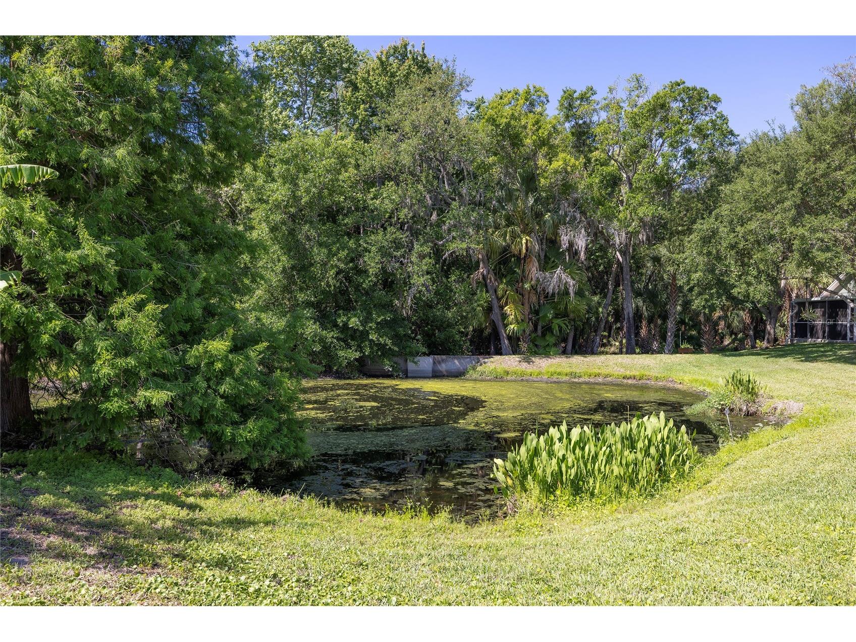 219 Bay Arbor Boulevard Oldsmar FL 34677 TB8498550 image33