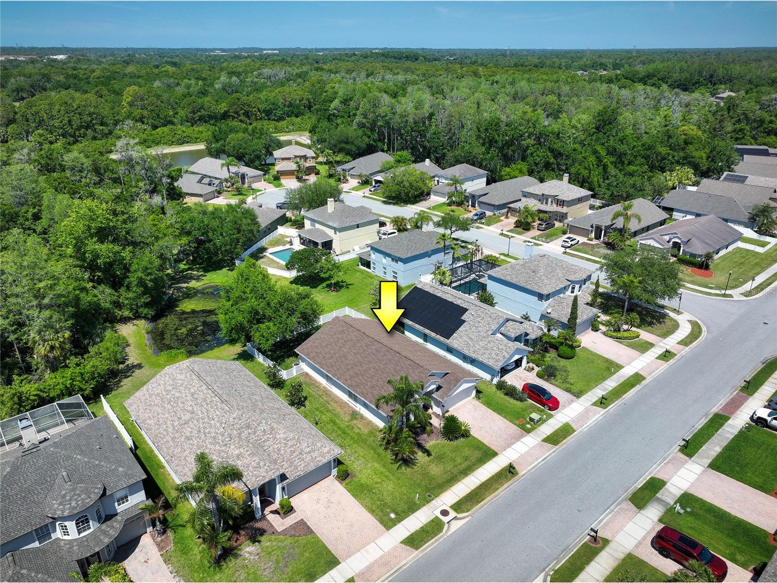 219 Bay Arbor Boulevard Oldsmar FL 34677 TB8498550 image36