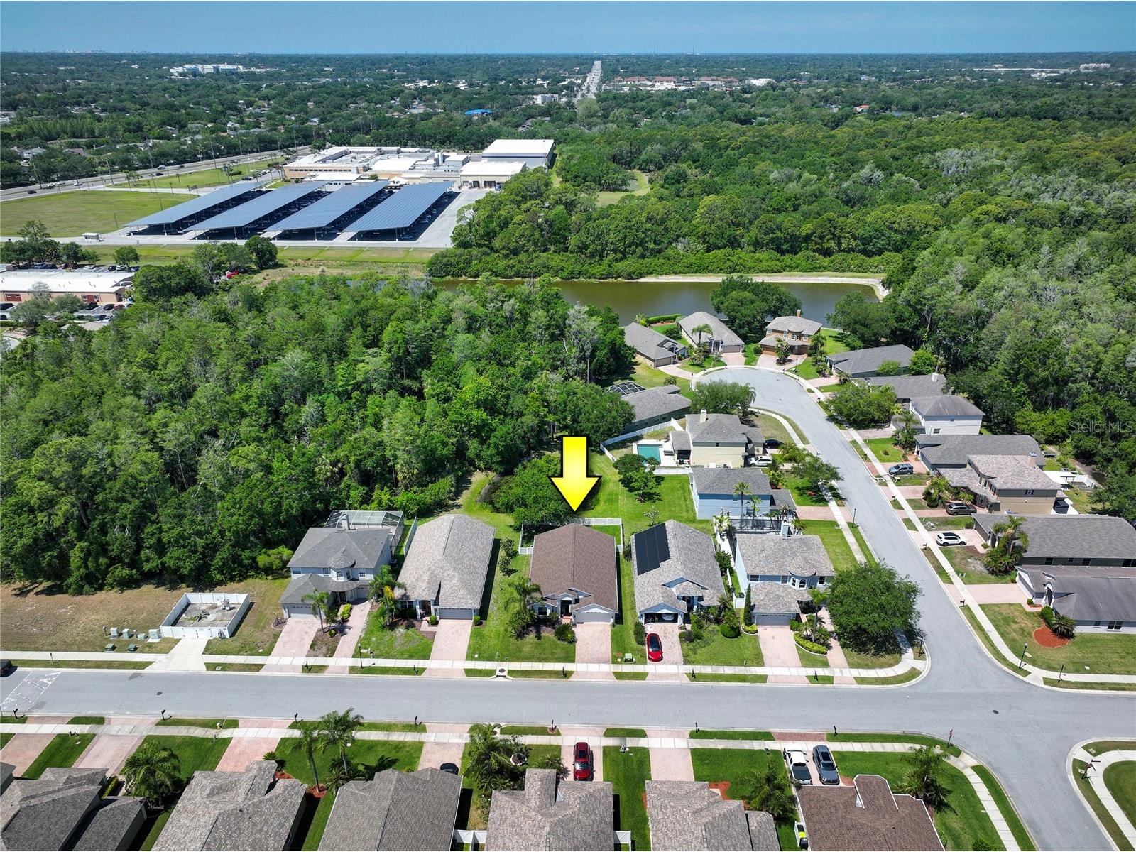 219 Bay Arbor Boulevard Oldsmar FL 34677 TB8498550 image38