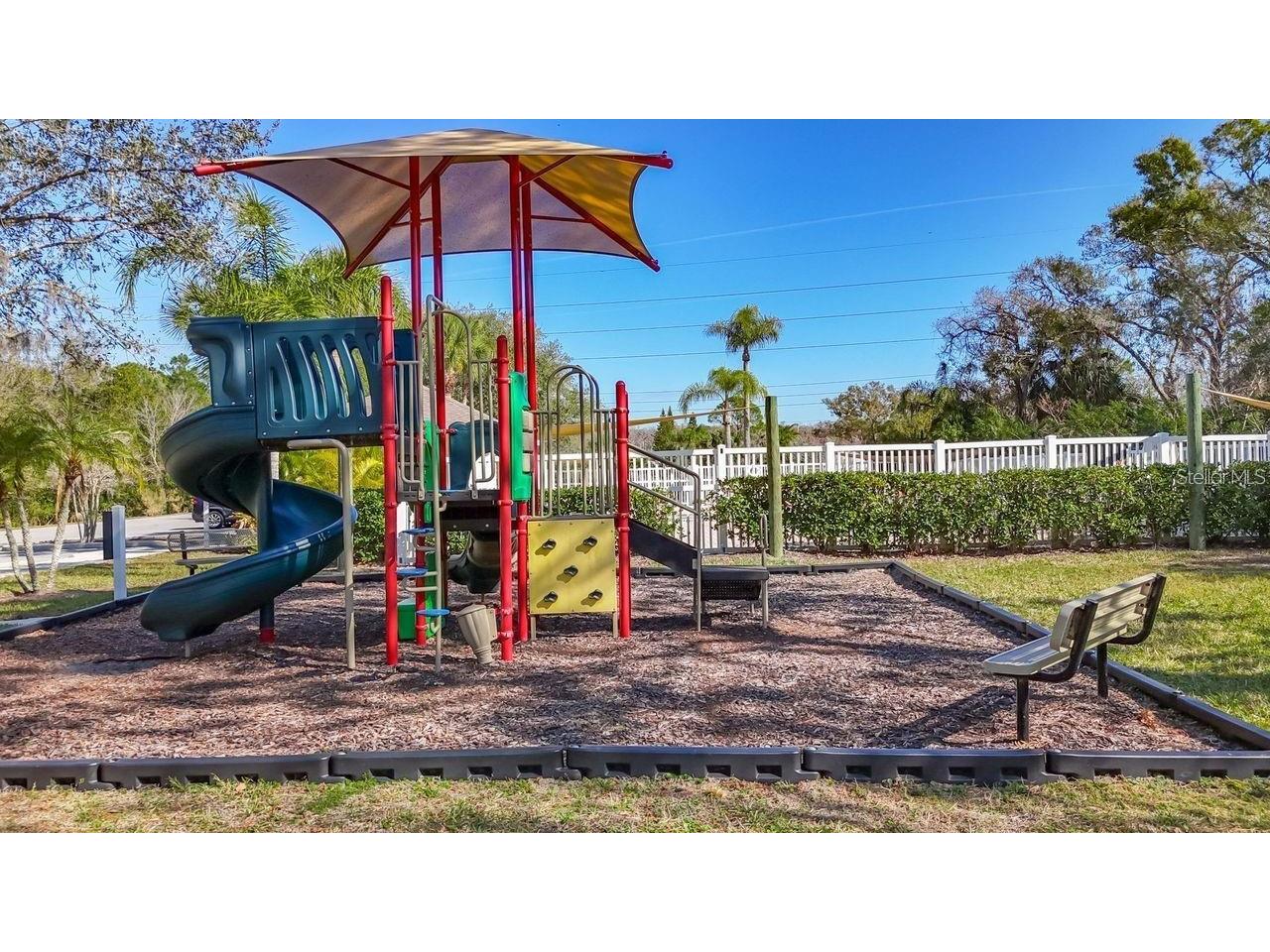 219 Bay Arbor Boulevard Oldsmar FL 34677 TB8498550 image44