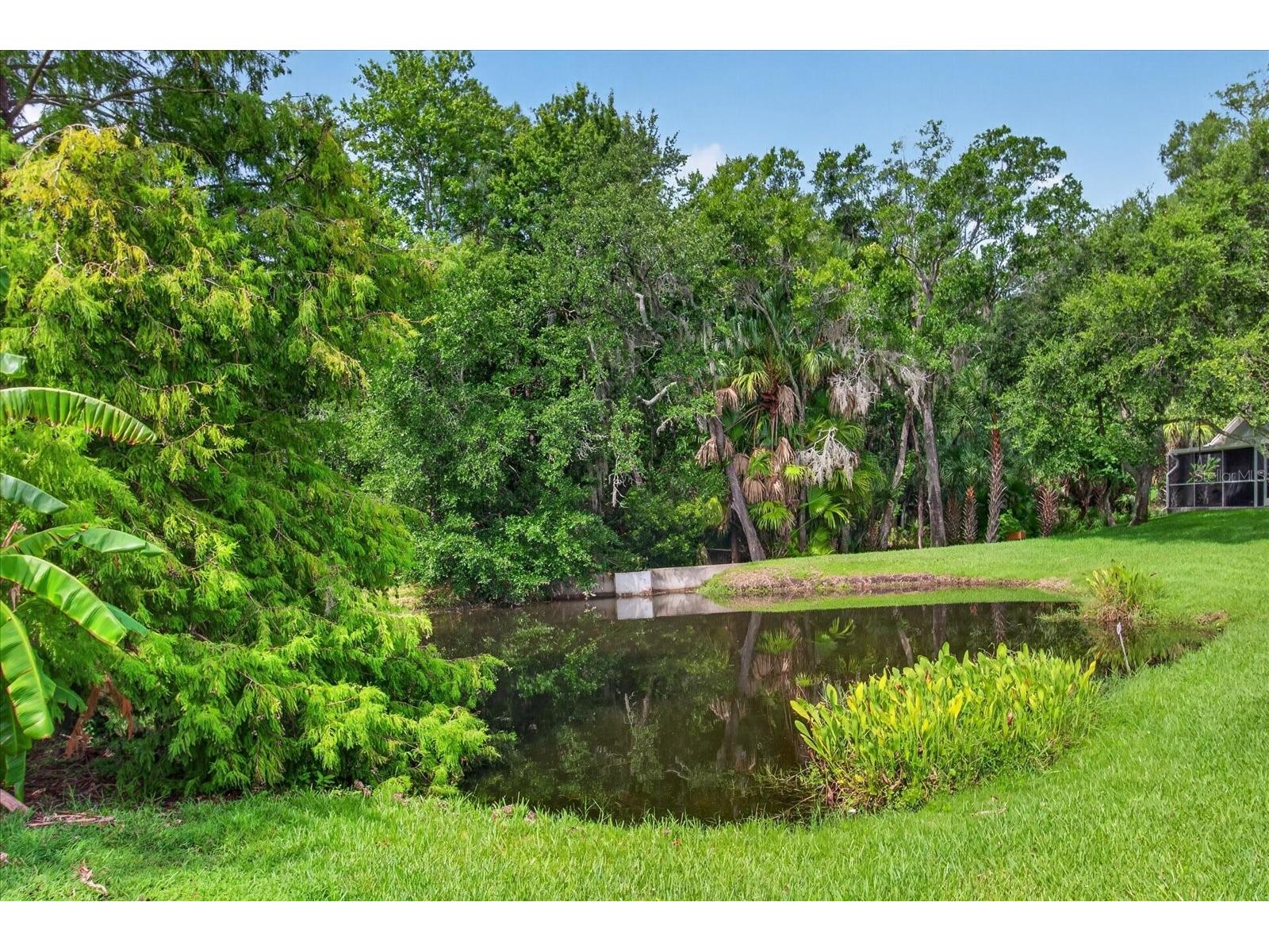 219 Bay Arbor Boulevard Oldsmar FL 34677 TB8498550 image50