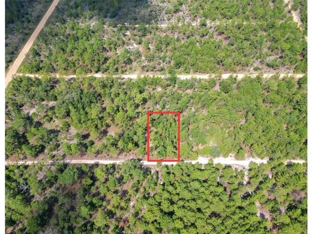 219 Connecticut Drive Hawthorne FL 32640 OM687561 image1