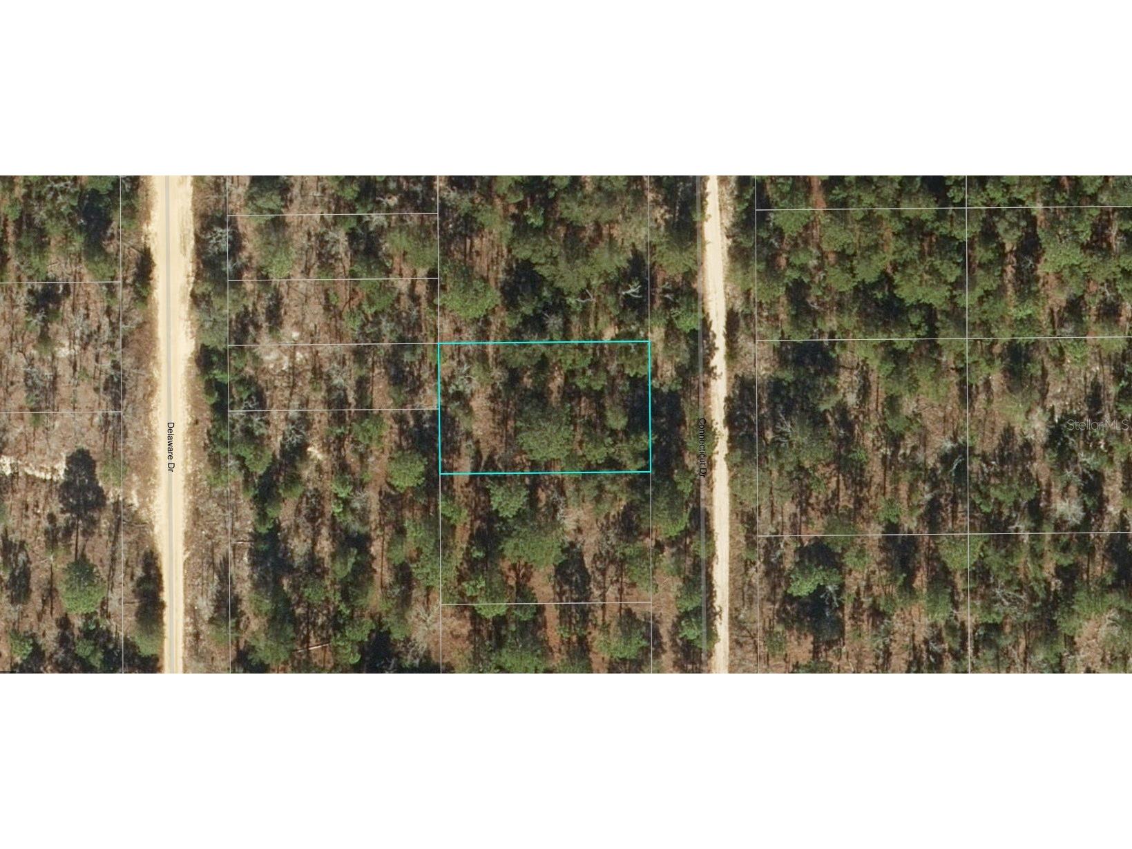 219 Connecticut Drive Hawthorne FL 32640 OM699741 image1