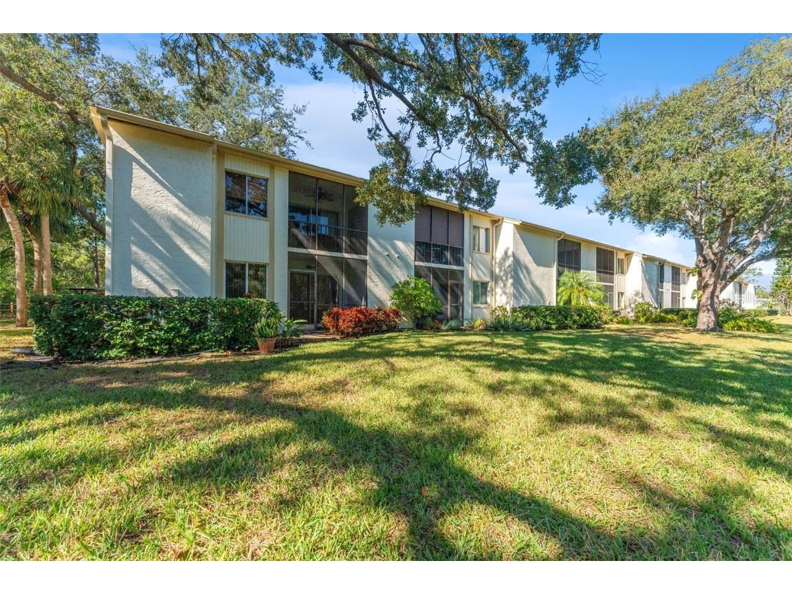 219 Cypress Court #219 Oldsmar FL 34677 TB8448871 image31