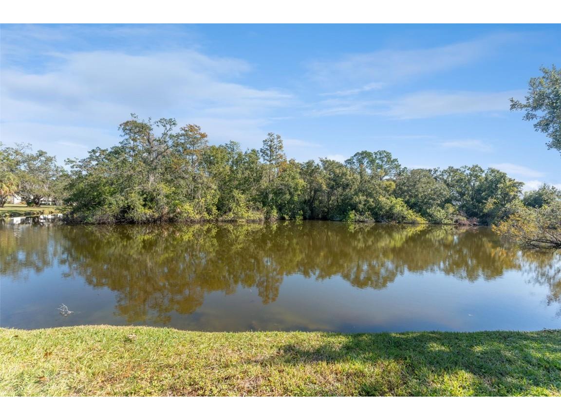 219 Cypress Court #219 Oldsmar FL 34677 TB8448871 image32