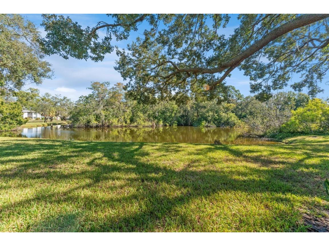 219 Cypress Court #219 Oldsmar FL 34677 TB8448871 image33