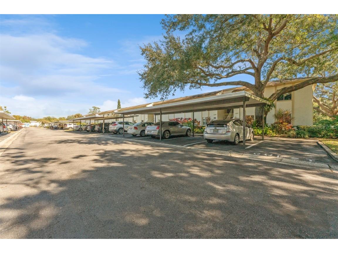 219 Cypress Court #219 Oldsmar FL 34677 TB8448871 image6