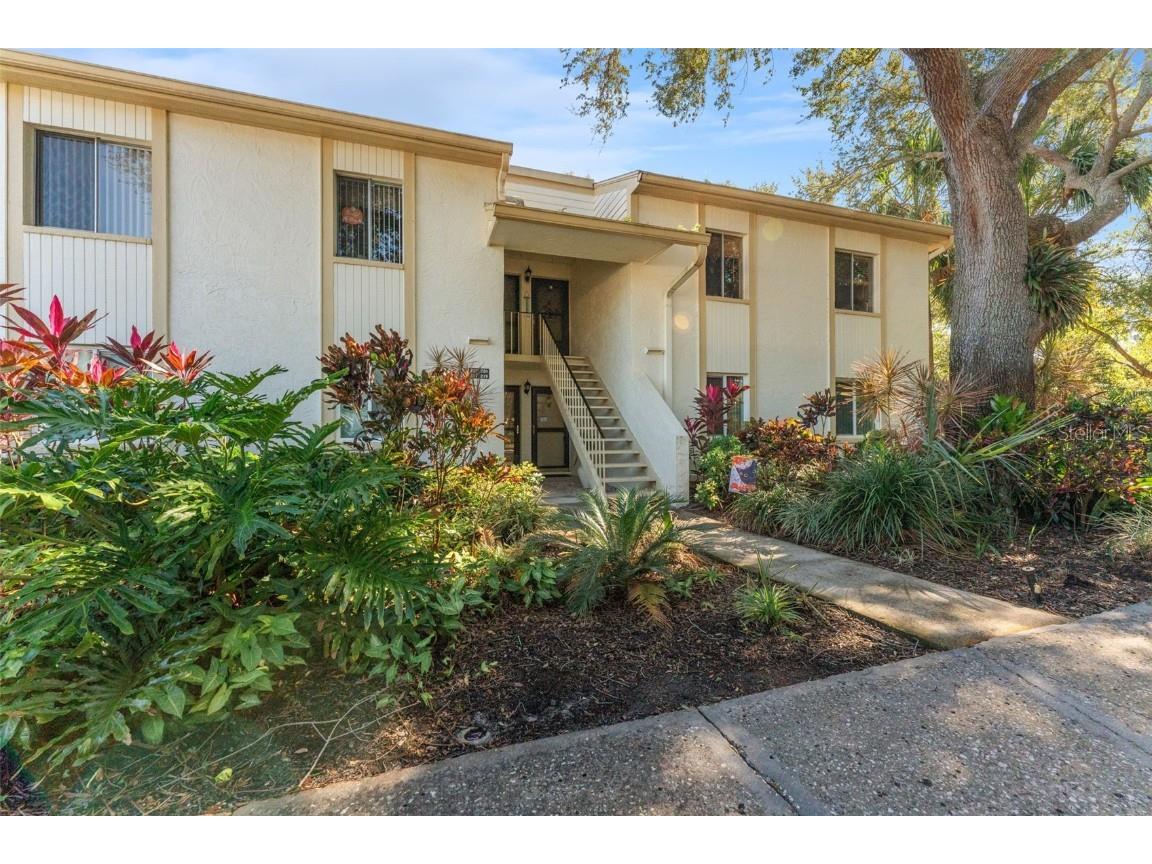 219 Cypress Court #219 Oldsmar FL 34677 TB8448871 image7