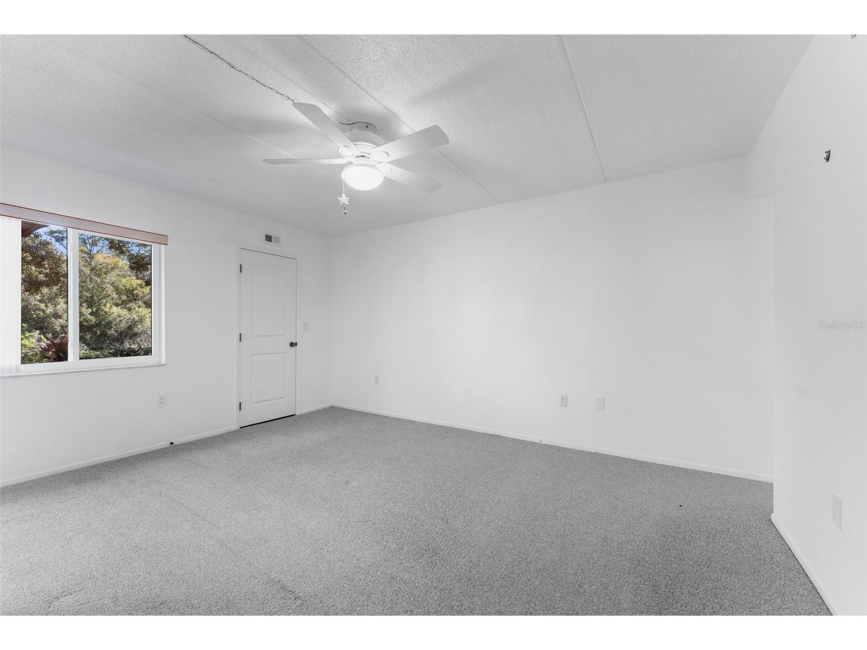 219 Cypress Court #219 Oldsmar FL 34677 TB8460111 image20