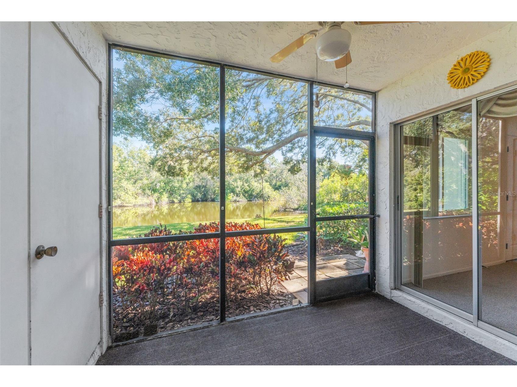 219 Cypress Court #219 Oldsmar FL 34677 TB8460111 image30