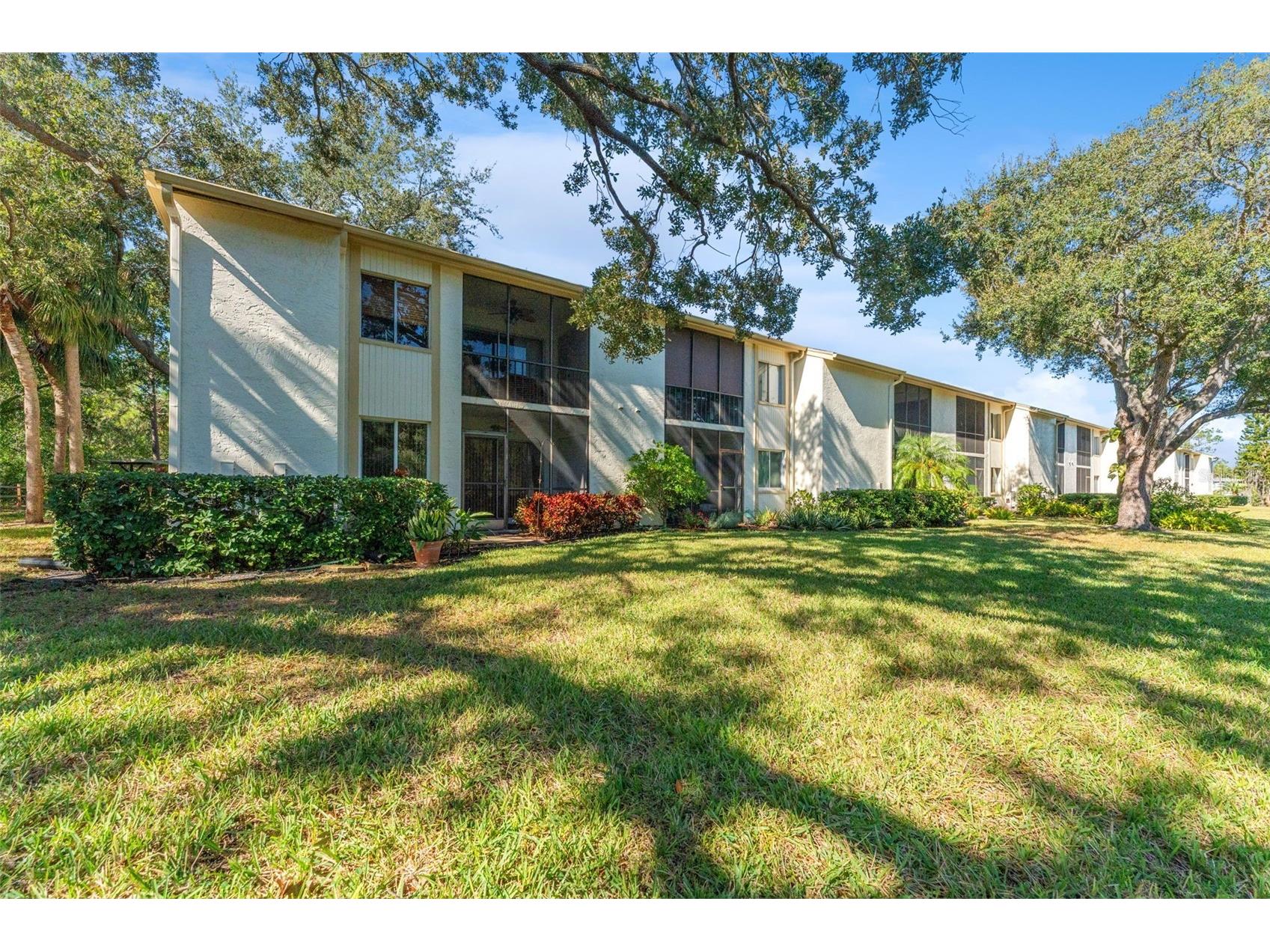 219 Cypress Court #219 Oldsmar FL 34677 TB8460111 image34
