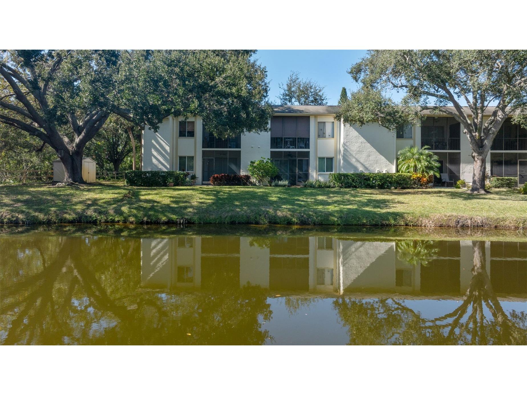 219 Cypress Court #219 Oldsmar FL 34677 TB8460111 image35