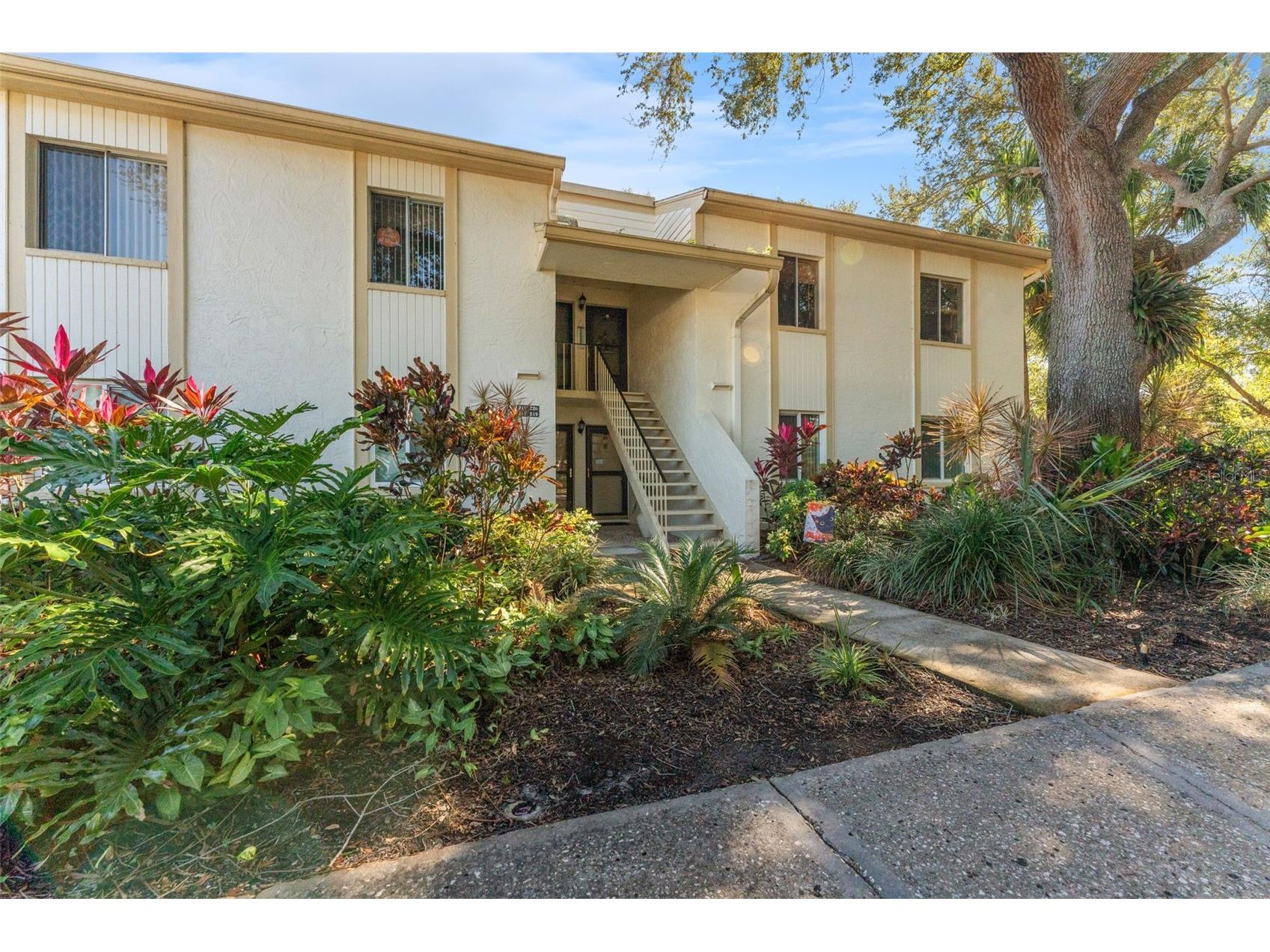 219 Cypress Court #219 Oldsmar FL 34677 TB8460111 image6