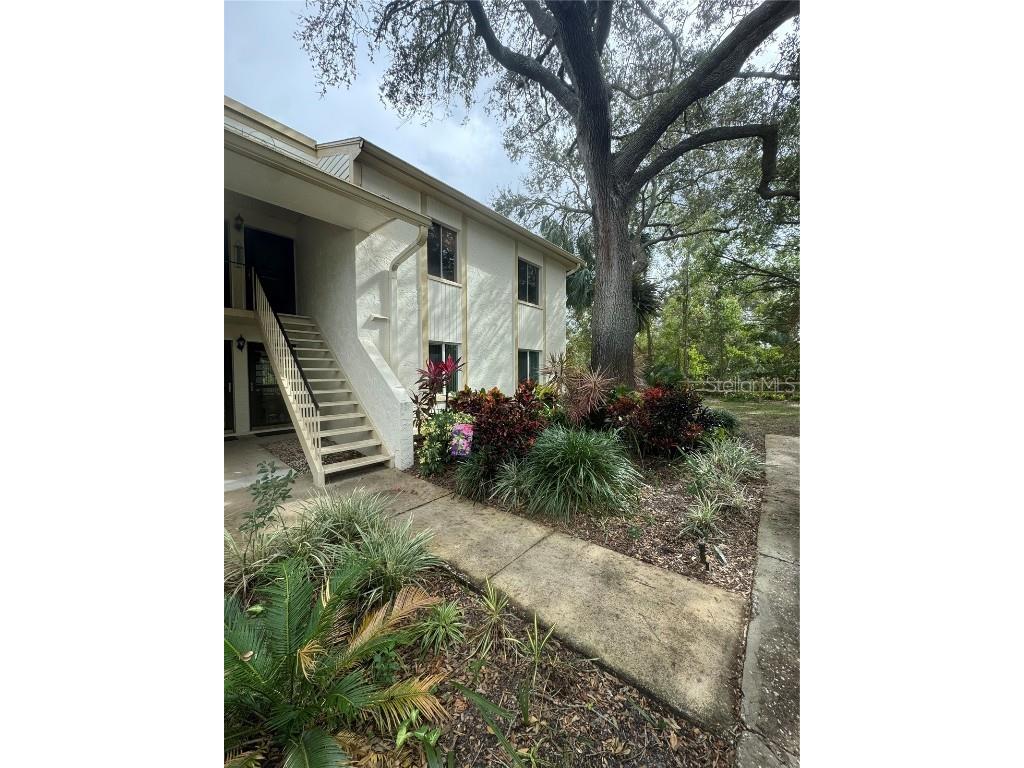 219 Cypress Court Oldsmar FL 34677 TB8317850 image1
