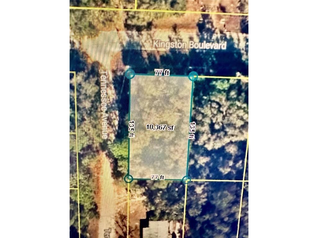 219 Kingston Boulevard Satsuma FL 32189 O6303115 image4