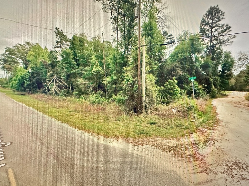 219 Kingston Boulevard Satsuma FL 32189 O6303115 image6