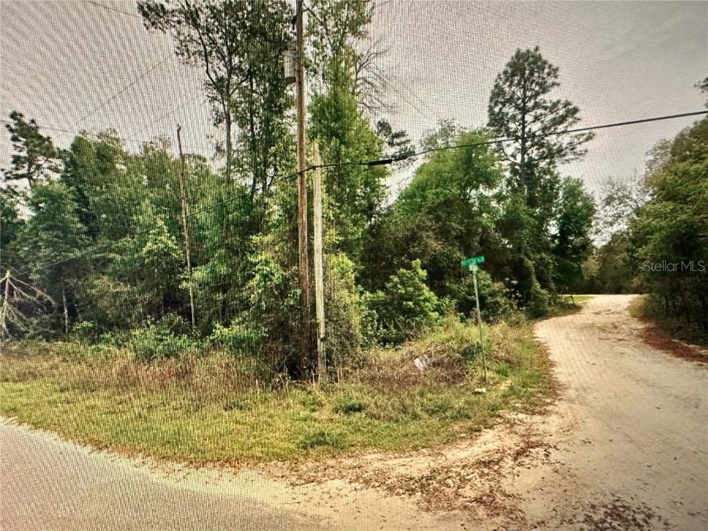 219 Kingston Boulevard Satsuma FL 32189 O6303115 image8