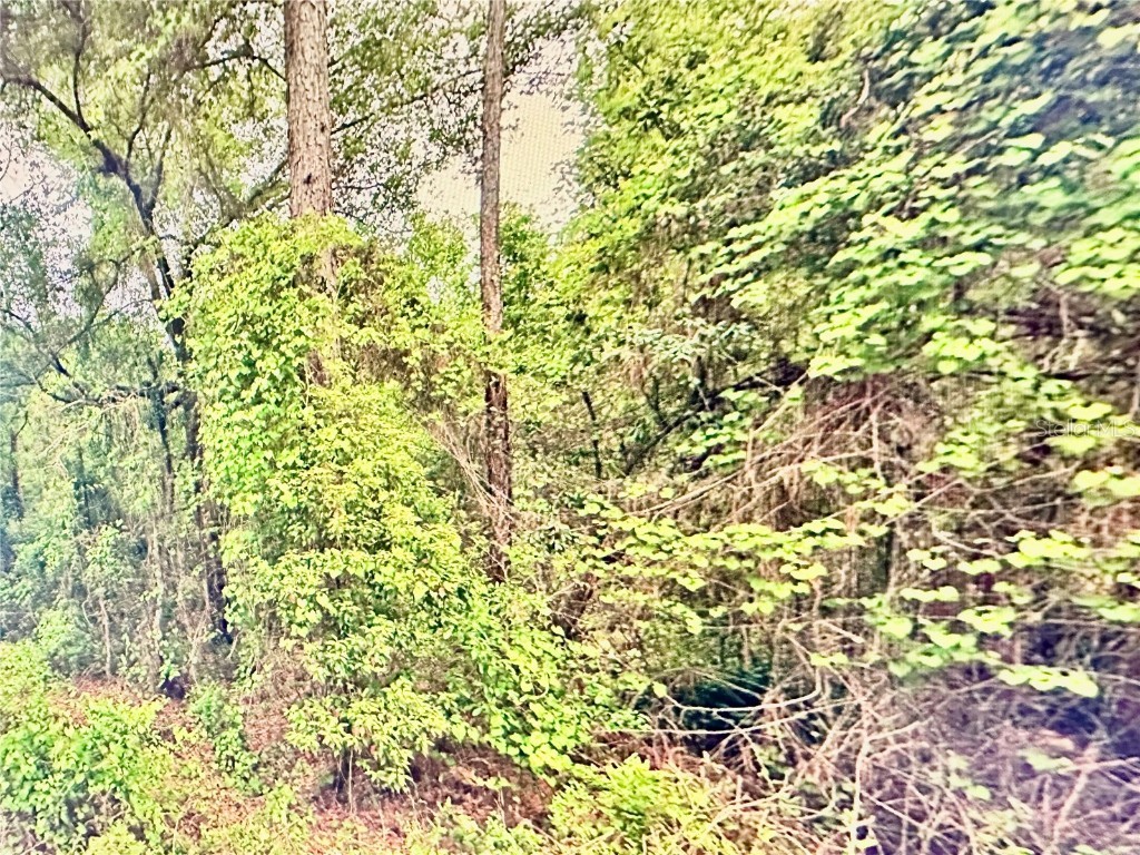 219 Kingston Boulevard Satsuma FL 32189 O6303115 image9