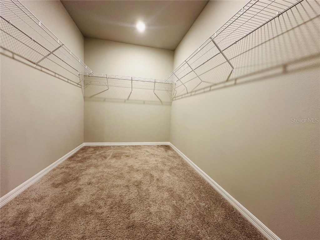 219 Lovely Court Plant City FL 33566 TB8395499 image29