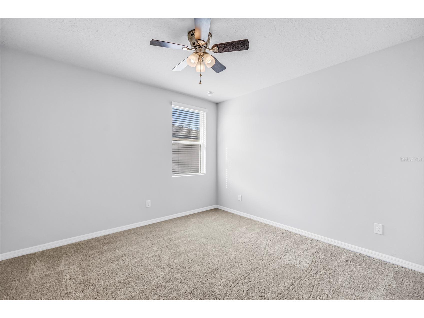 219 Lovely Court Plant City FL 33566 TB8477829 image24