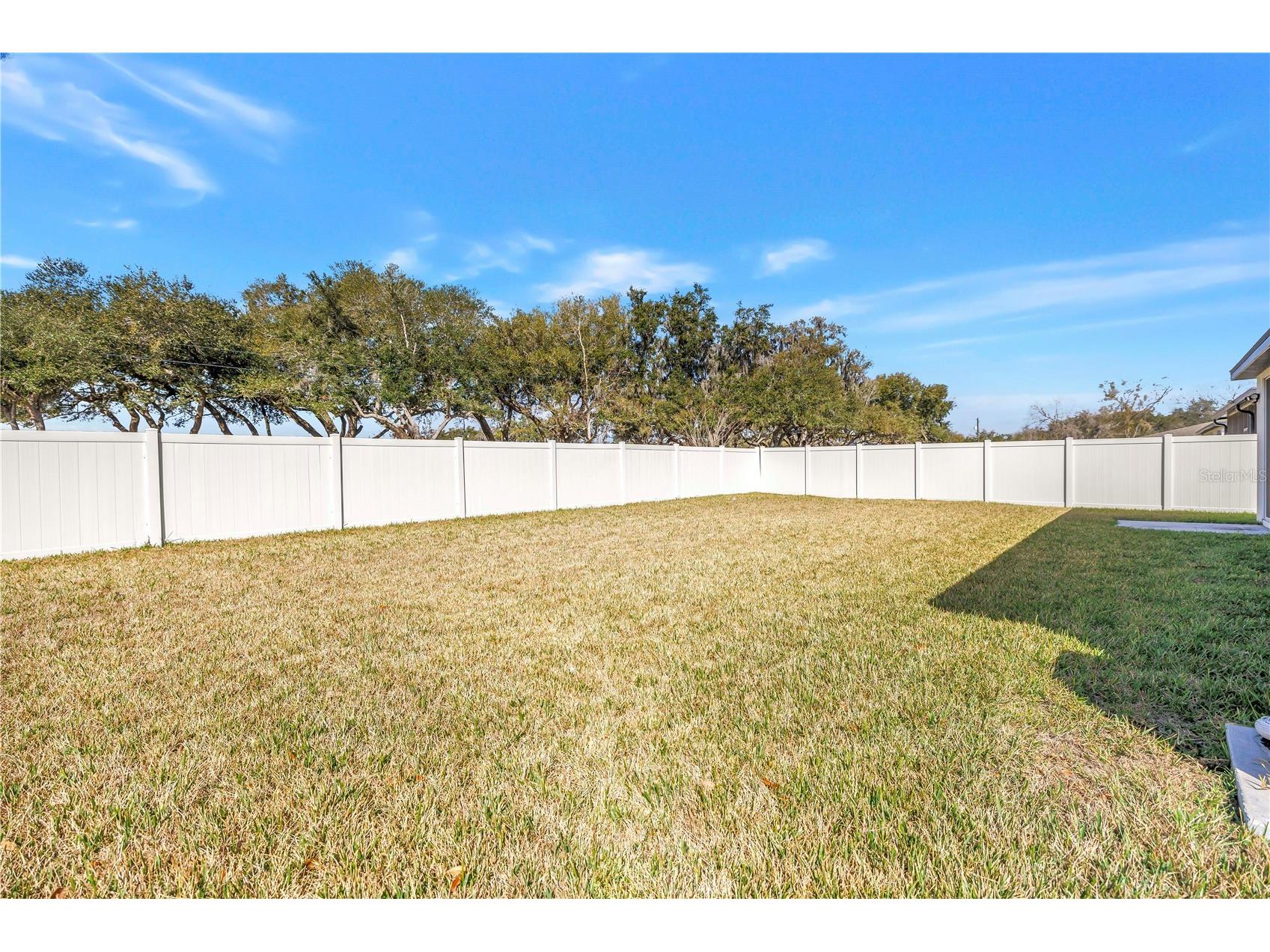 219 Lovely Court Plant City FL 33566 TB8477829 image39