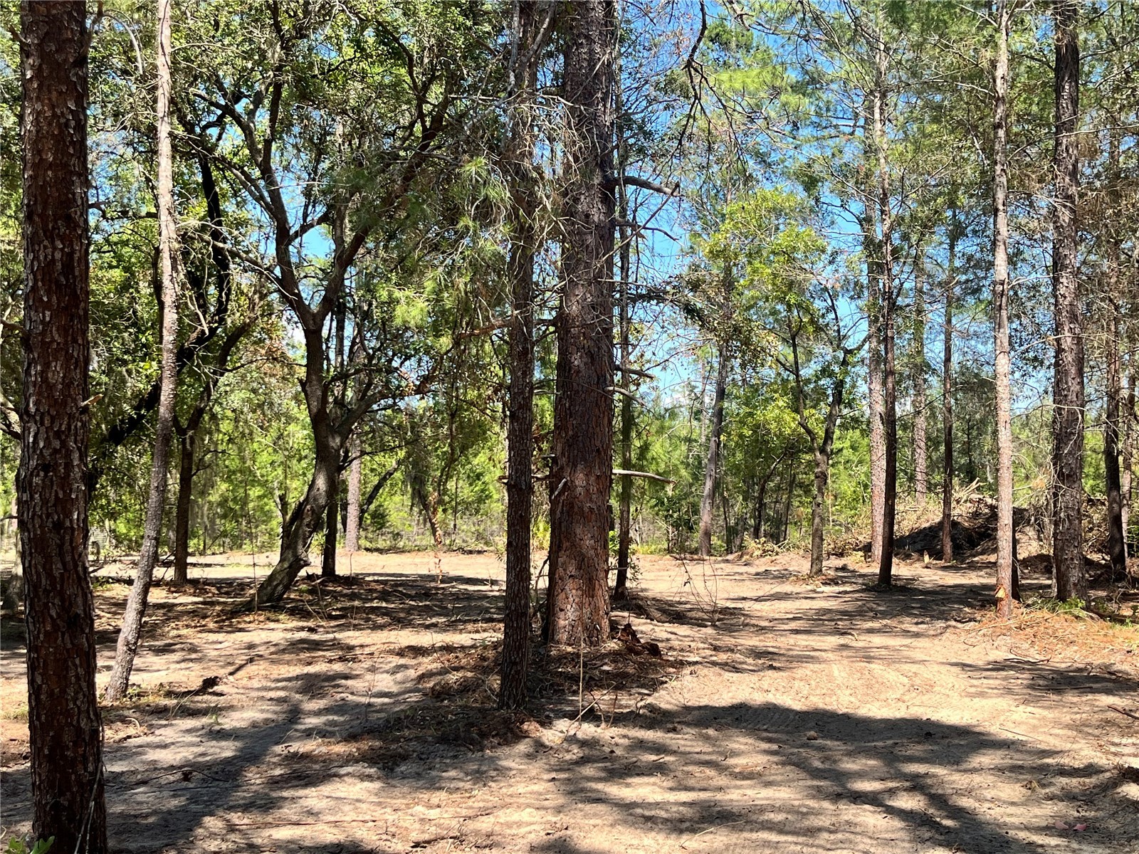 219 Magnolia Road Hawthorne FL 32640 GC540631 image1