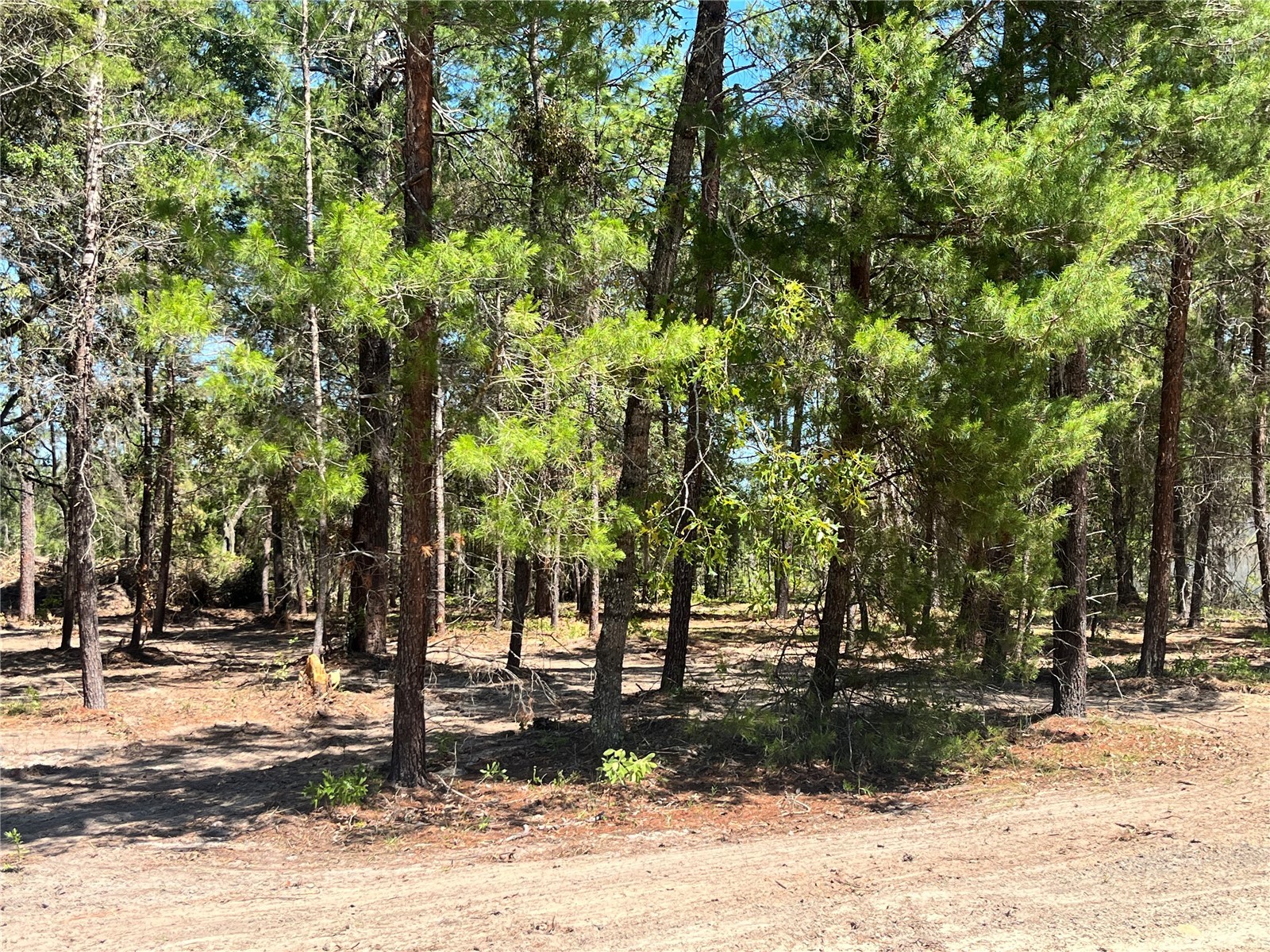 219 Magnolia Road Hawthorne FL 32640 GC540631 image3