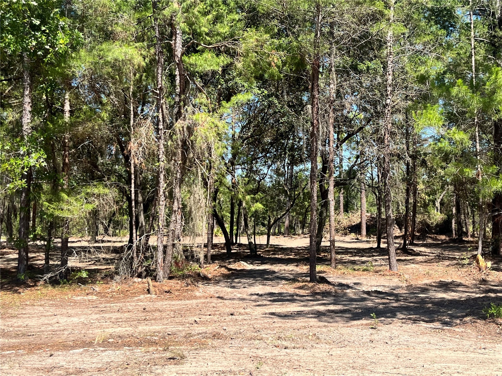 219 Magnolia Road Hawthorne FL 32640 GC540631 image4