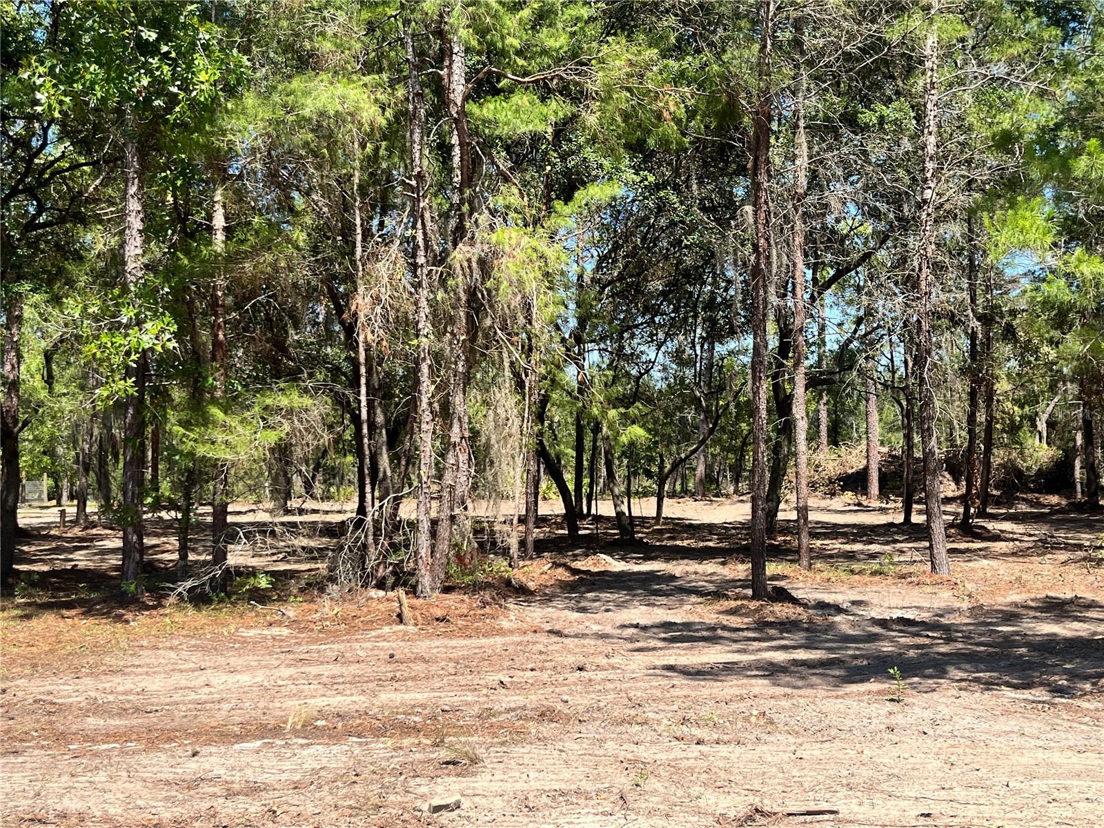 219 Magnolia Road Hawthorne FL 32640 GC540631 image5