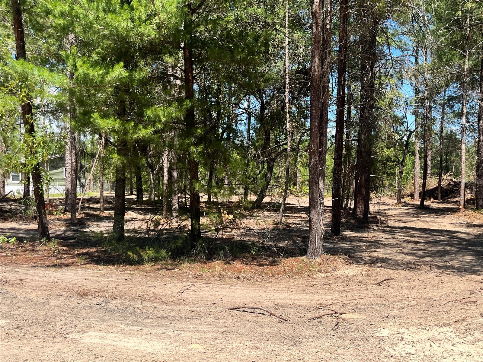 219 Magnolia Road Hawthorne FL 32640 GC540631 image6
