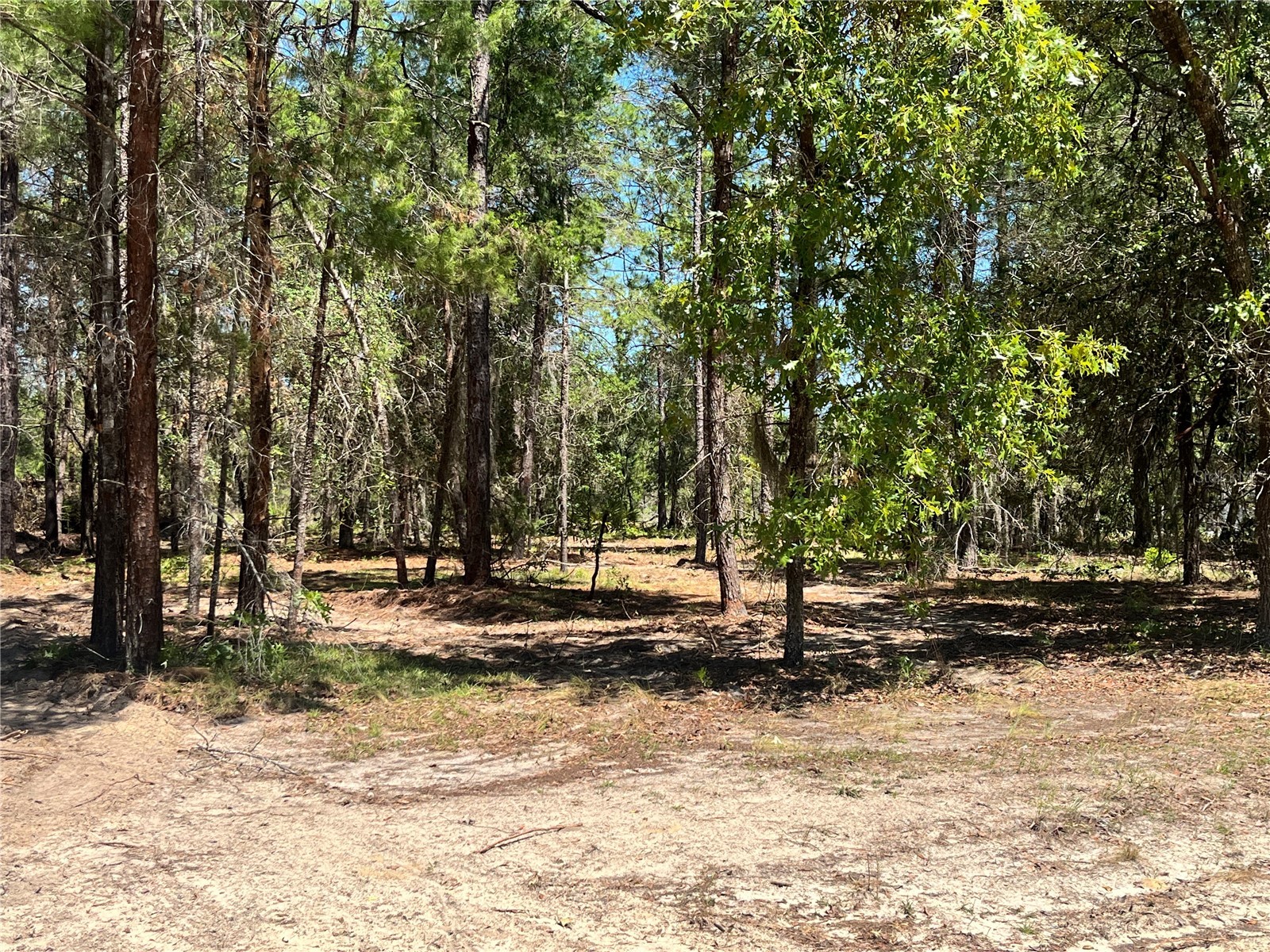219 Magnolia Road Hawthorne FL 32640 GC540631 image7