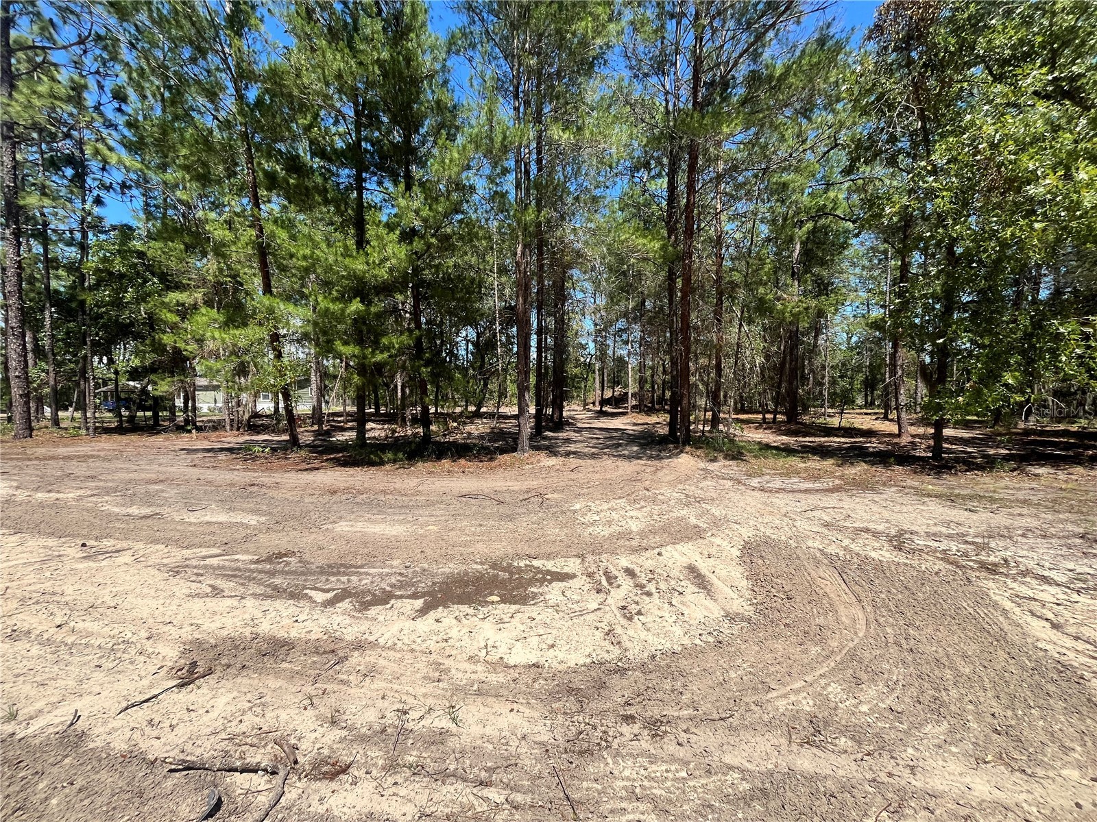 219 Magnolia Road Hawthorne FL 32640 GC540631 image8