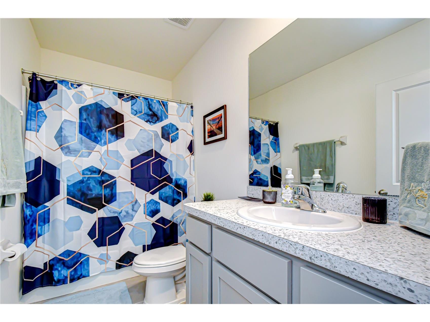 219 Mangrove Shade Circle Apollo Beach FL 33572 TB8466813 image22