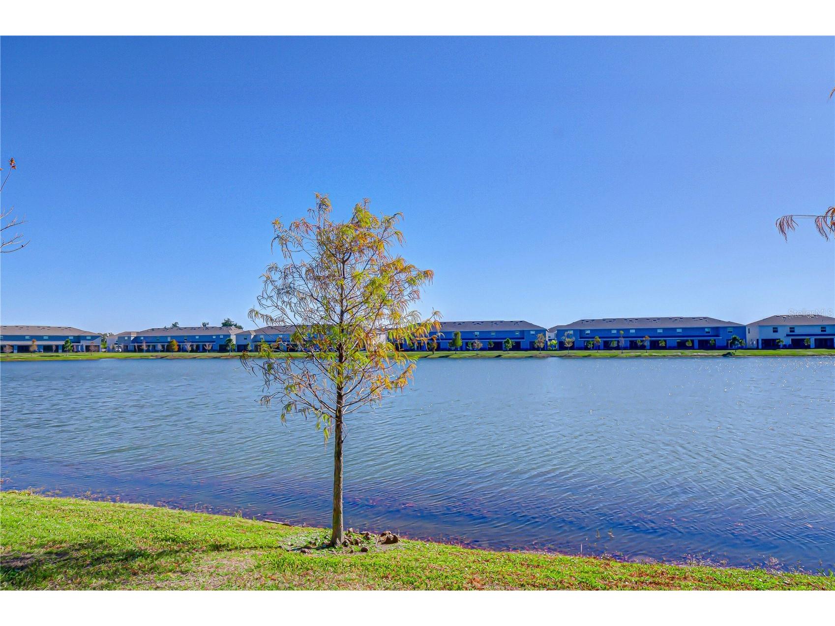 219 Mangrove Shade Circle Apollo Beach FL 33572 TB8466813 image24