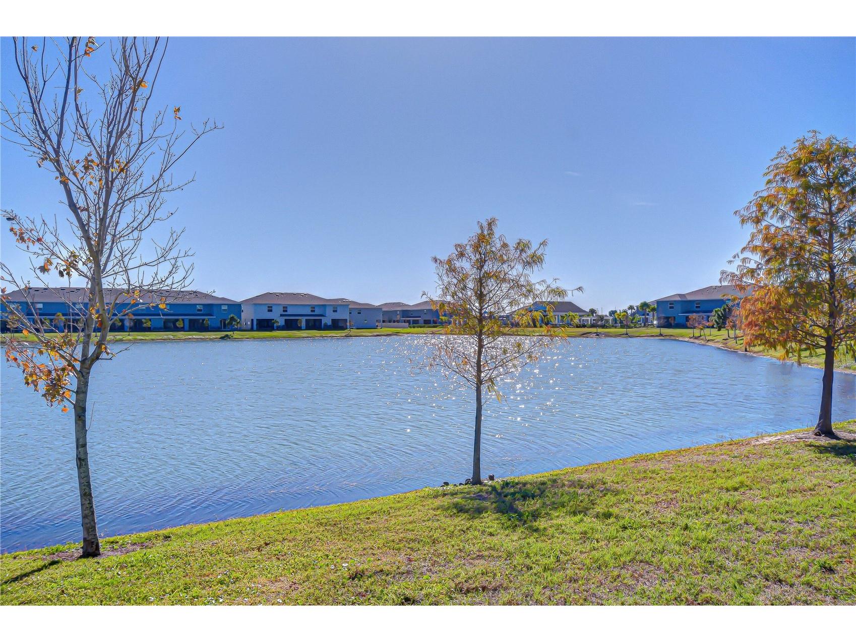 219 Mangrove Shade Circle Apollo Beach FL 33572 TB8466813 image3