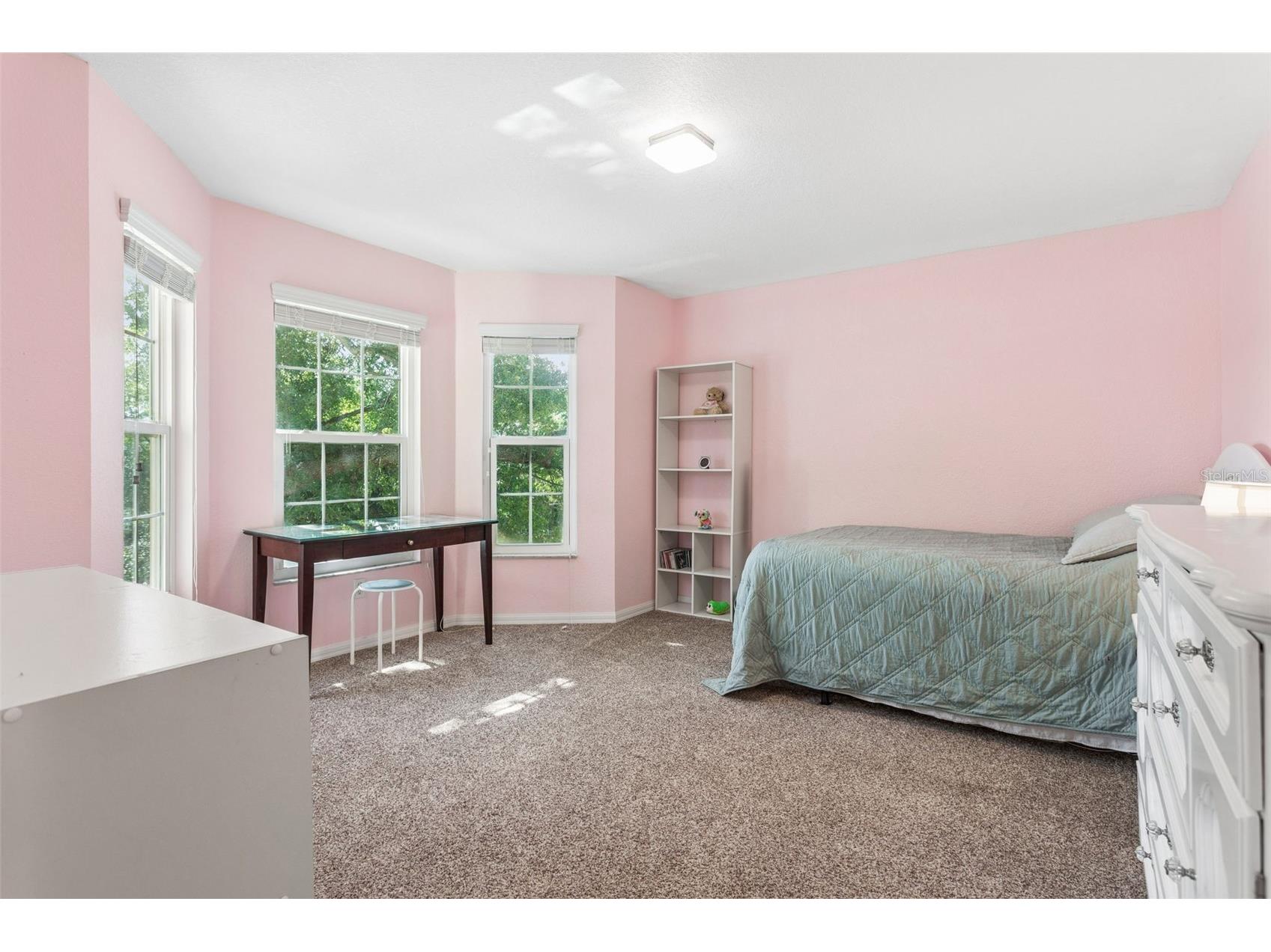 219 N Excelda Avenue Tampa FL 33609 TB8503016 image21