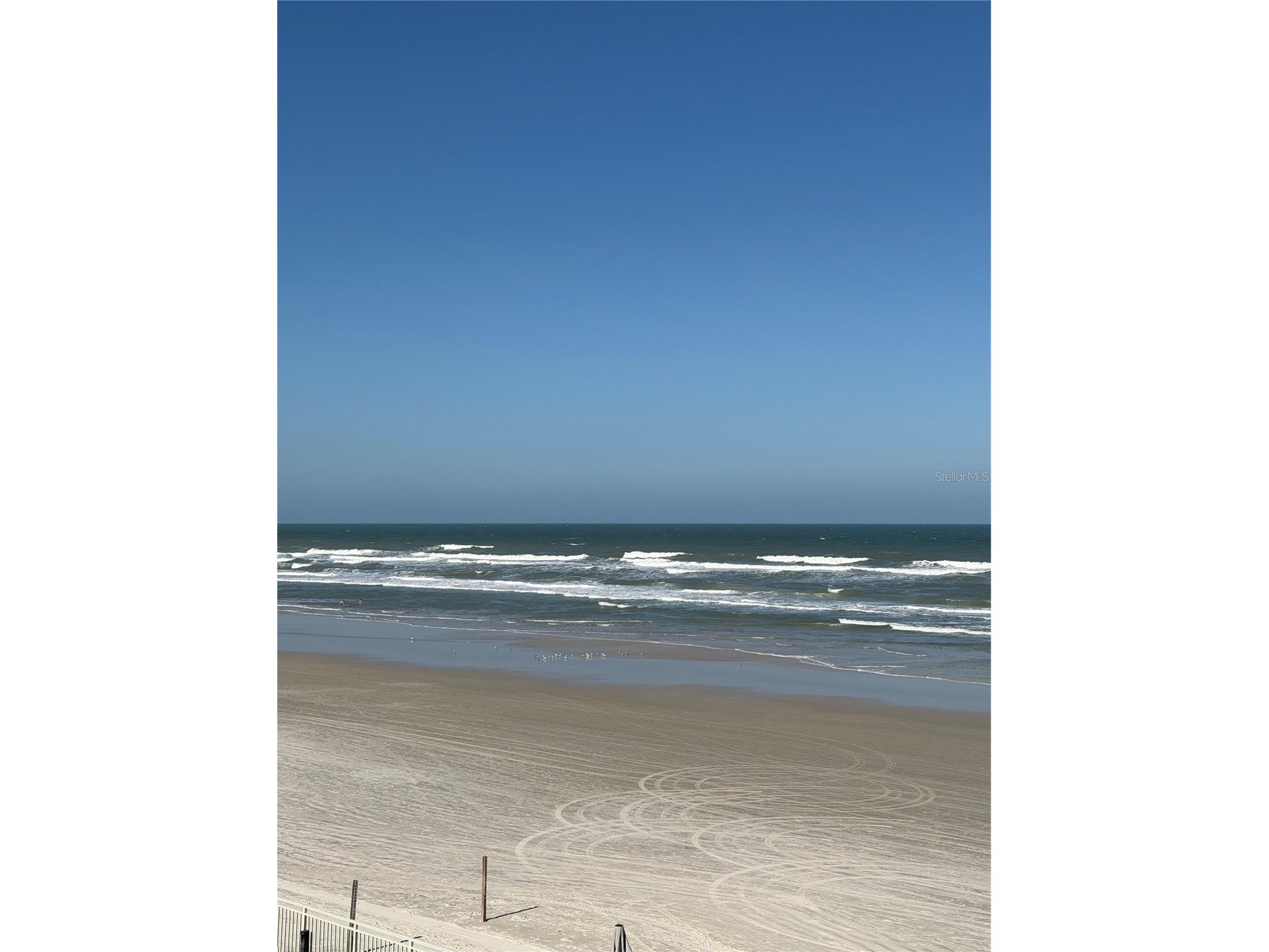 219 S Atlantic Avenue #319 Daytona Beach FL 32118 FC317375 image28