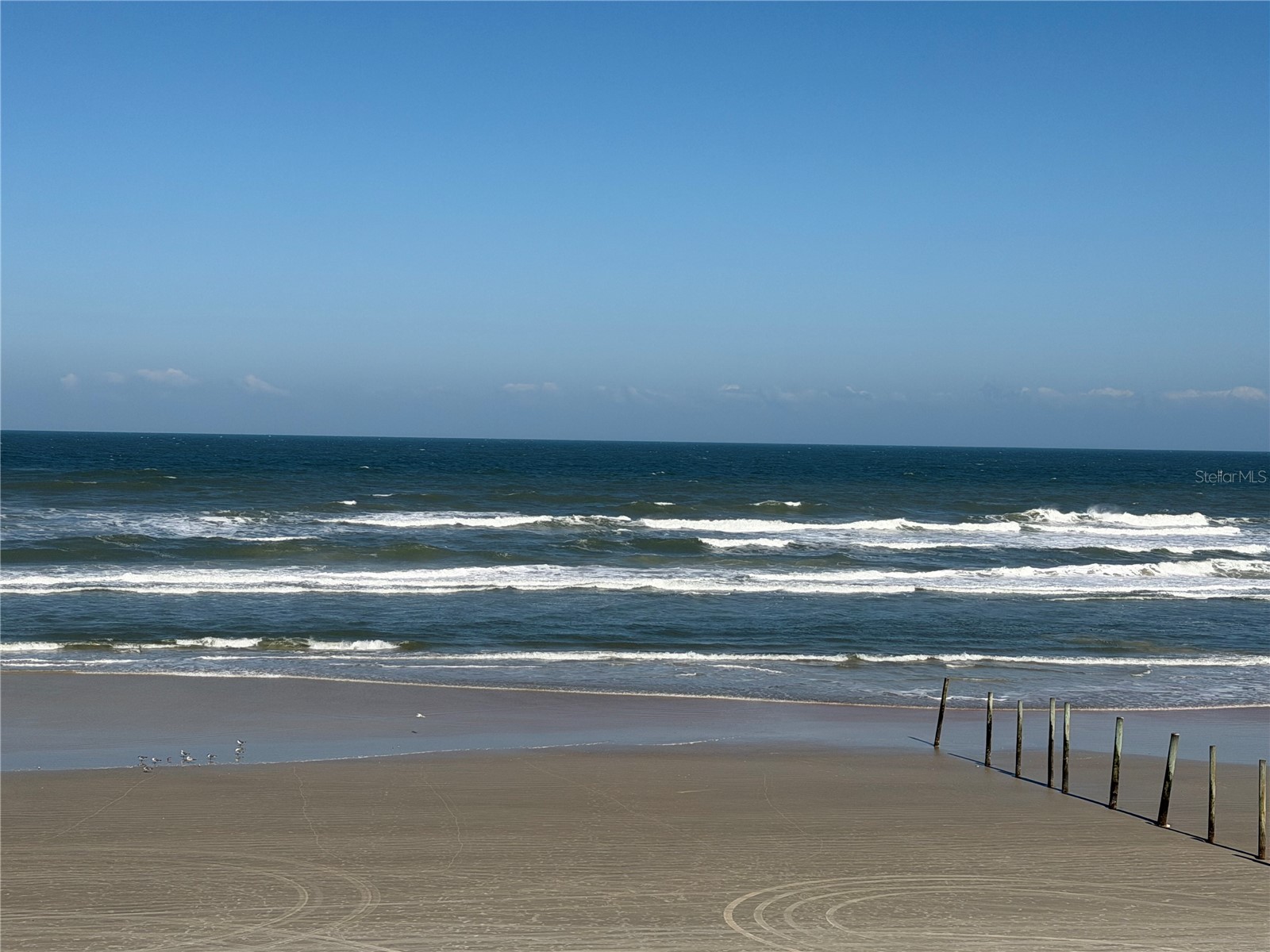 219 S Atlantic Avenue #319 Daytona Beach FL 32118 FC317375 image29