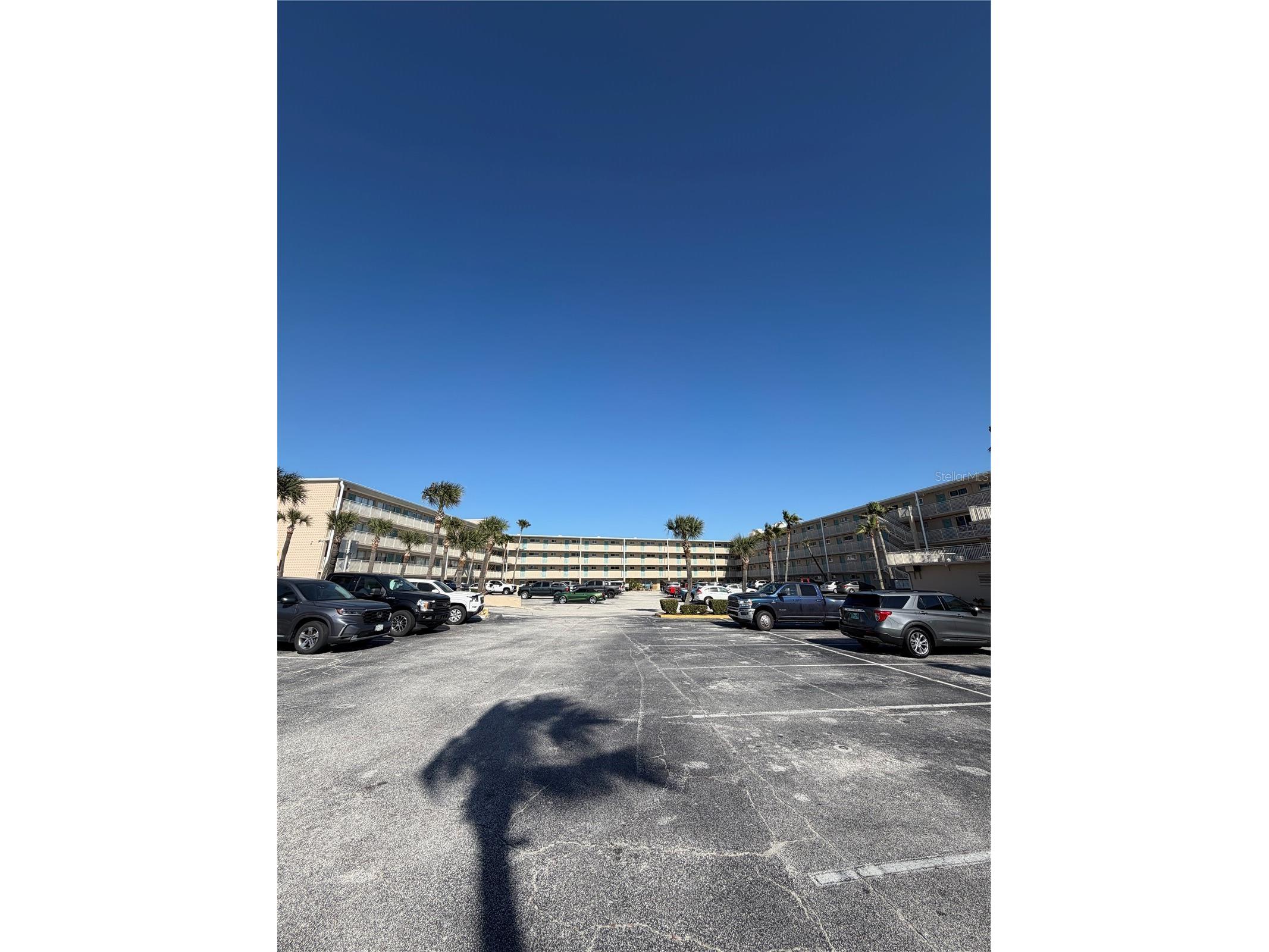 219 S Atlantic Avenue #319 Daytona Beach FL 32118 FC317375 image30