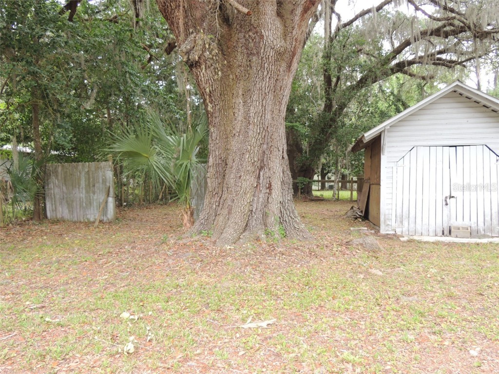 219 SE 3rd Avenue Williston FL 32696 OM700414 image9