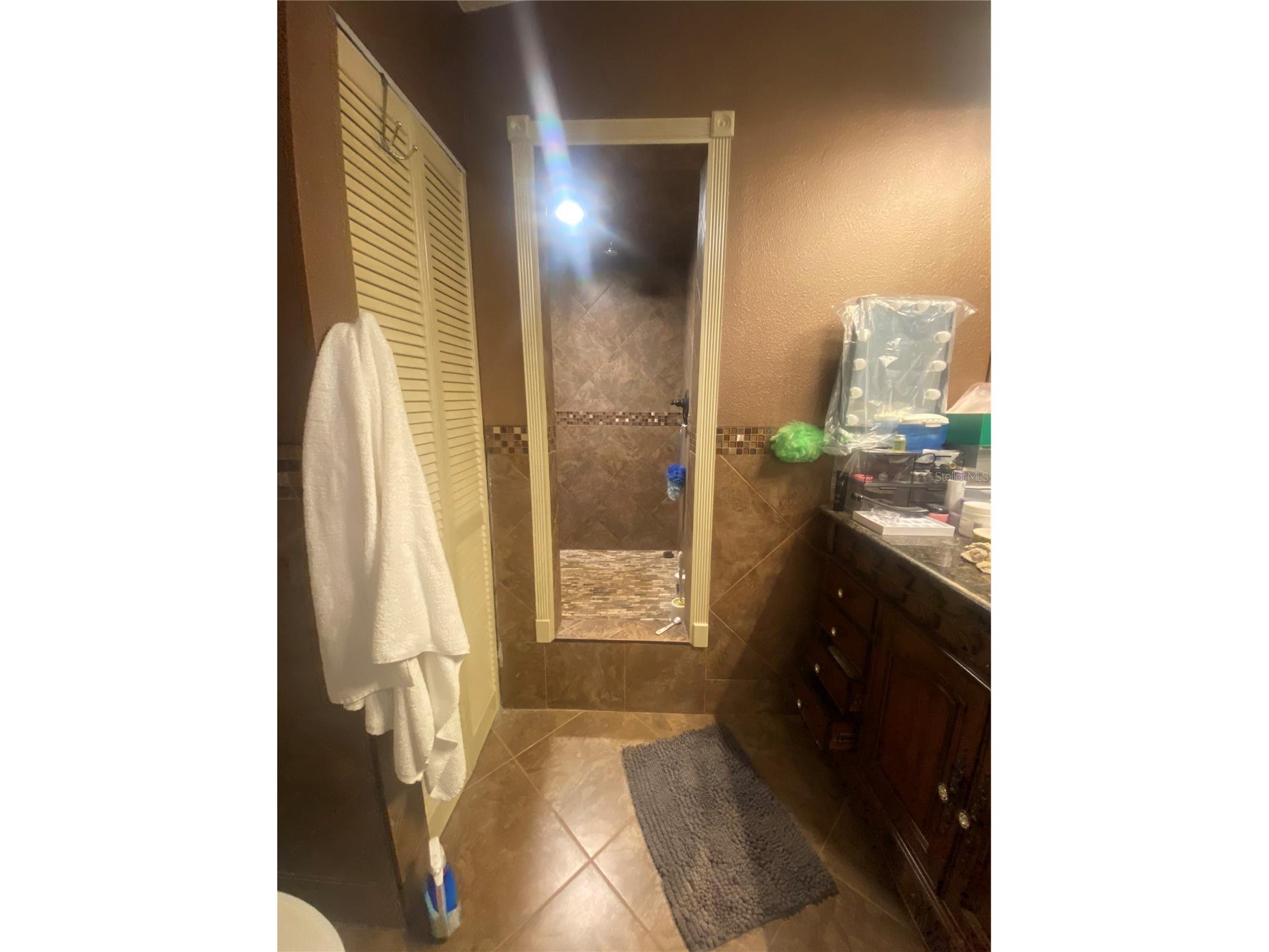 219 Shady Lane Orange City FL 32763 O6415408 image12