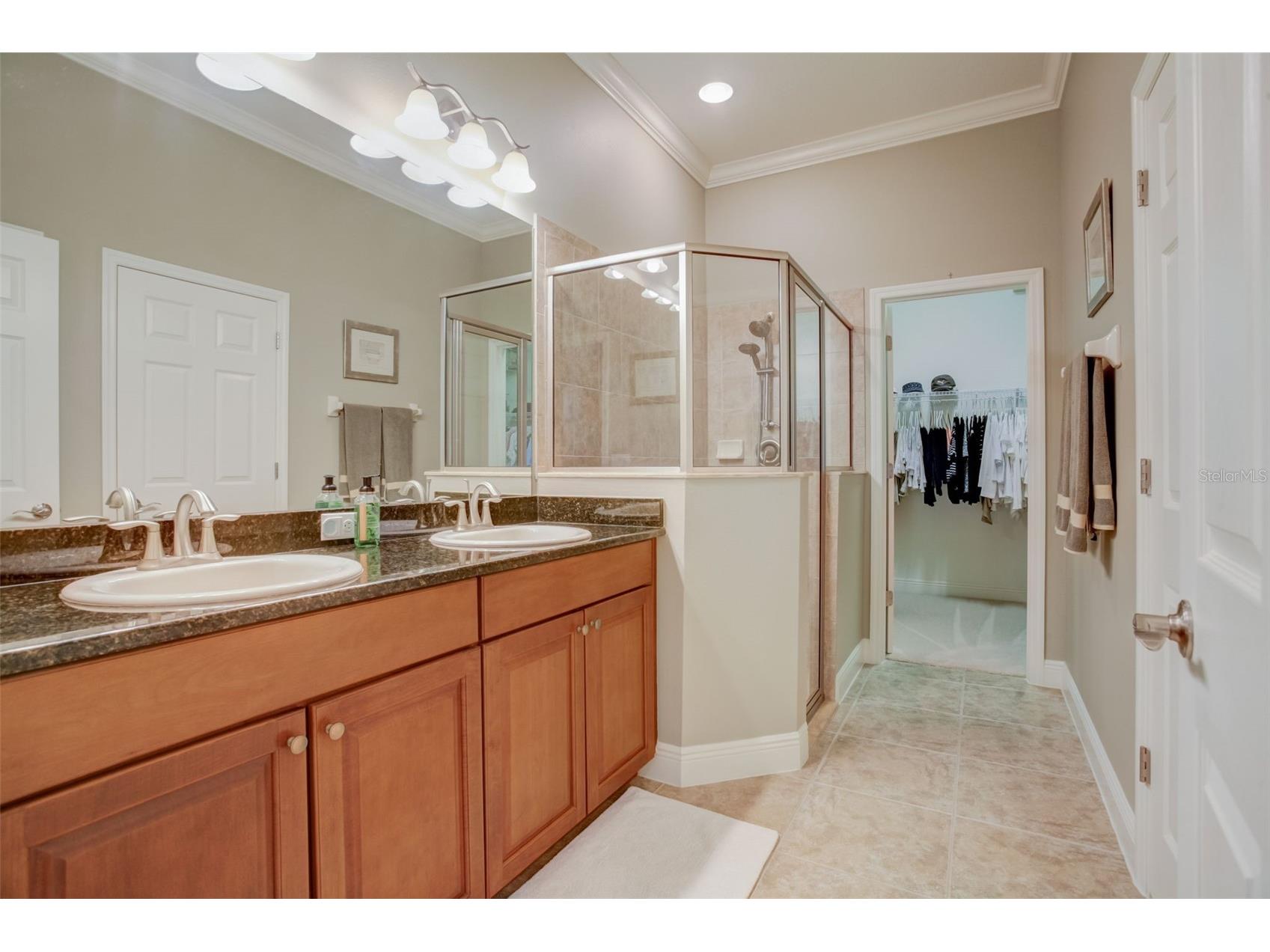 219 Sunset Crest Court Apollo Beach FL 33572 TB8470580 image23