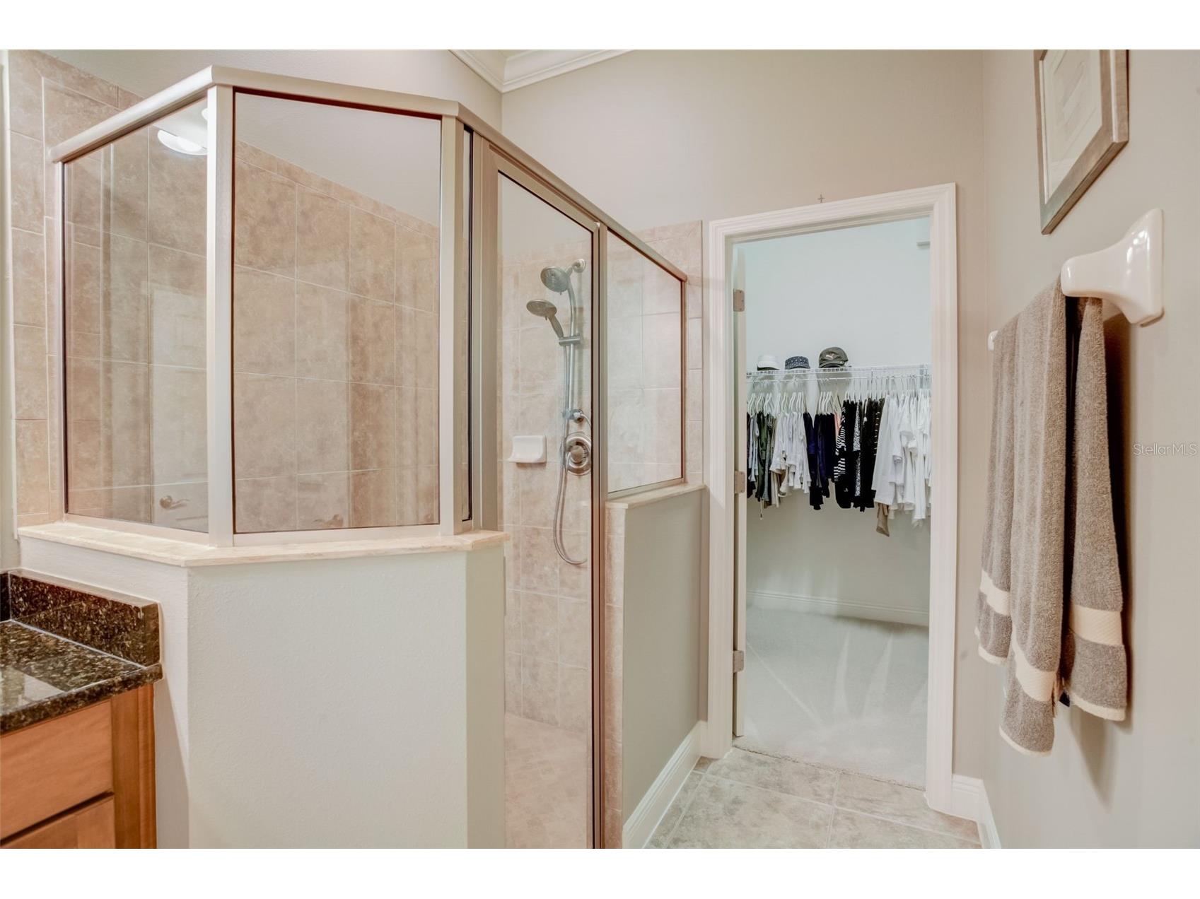 219 Sunset Crest Court Apollo Beach FL 33572 TB8470580 image24